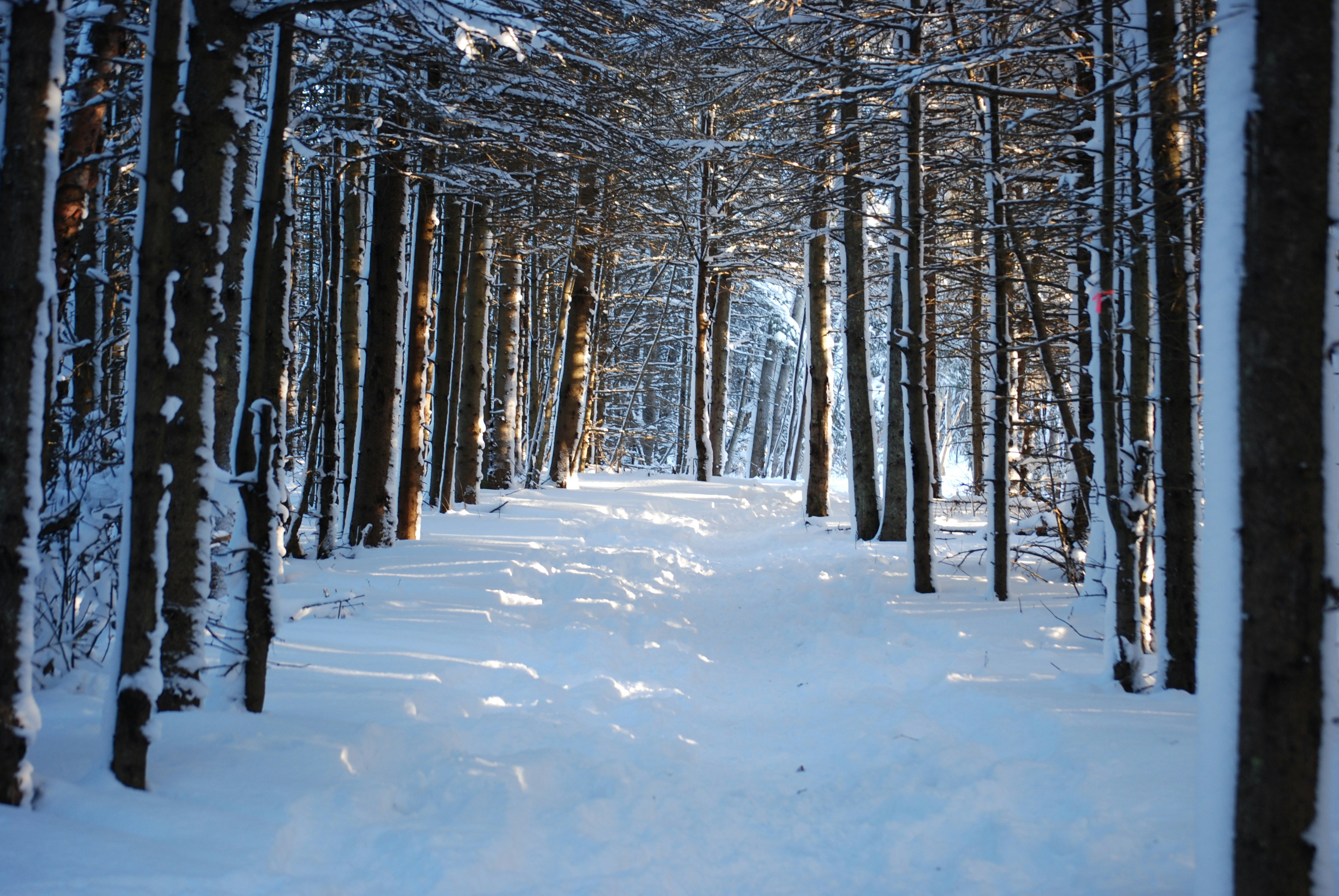 Photo by spiritofgypsy