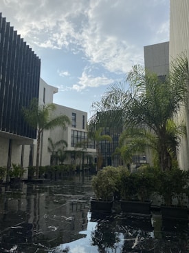 A modern architectural courtyard with white and grey buildings on either side. The area is lined with tall palm trees and manicured bushes in square planters. The reflective marble floor adds a polished look, while the sky above is partly cloudy, allowing natural light to filter through.