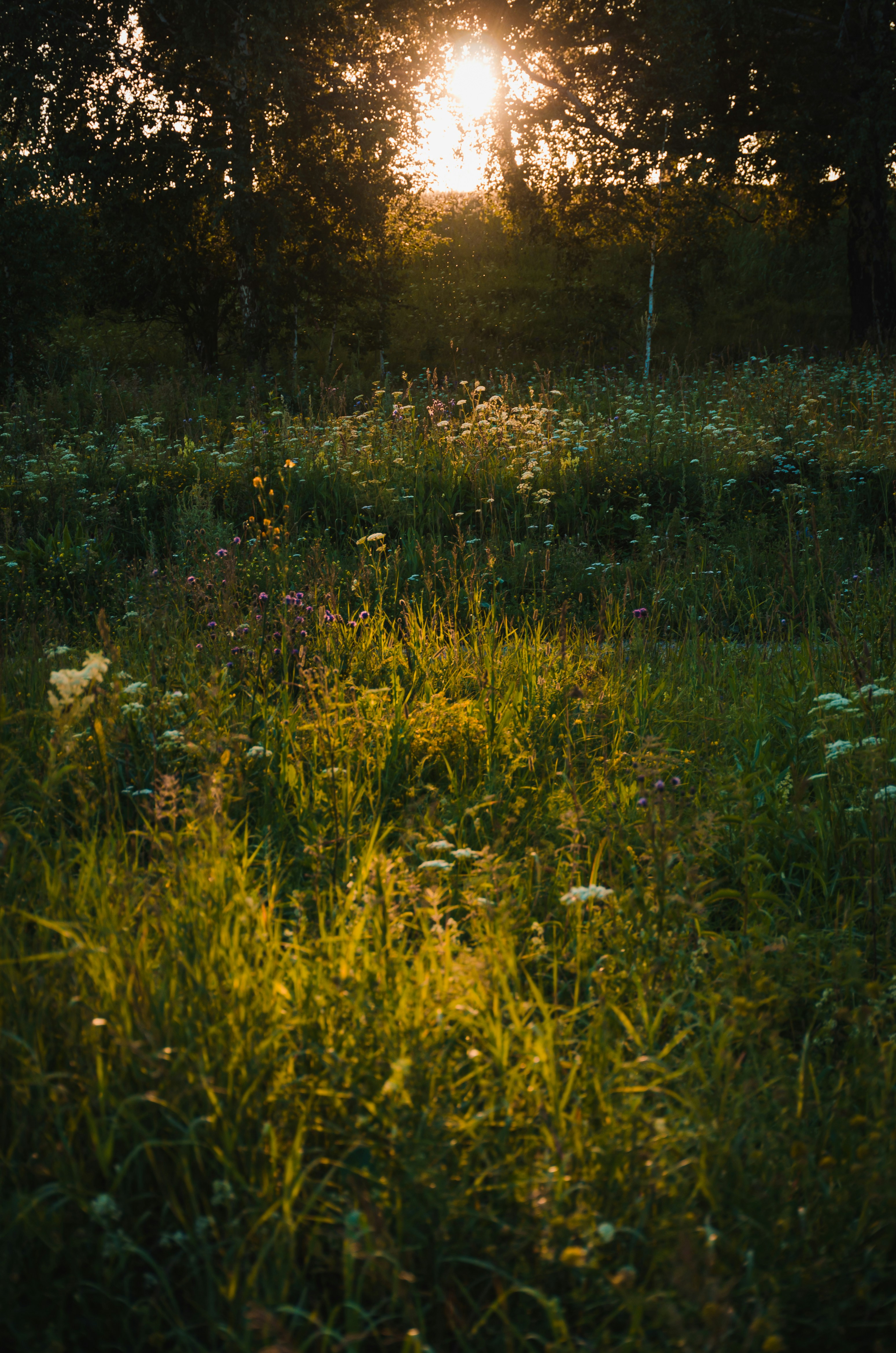 Photo by vjolt42