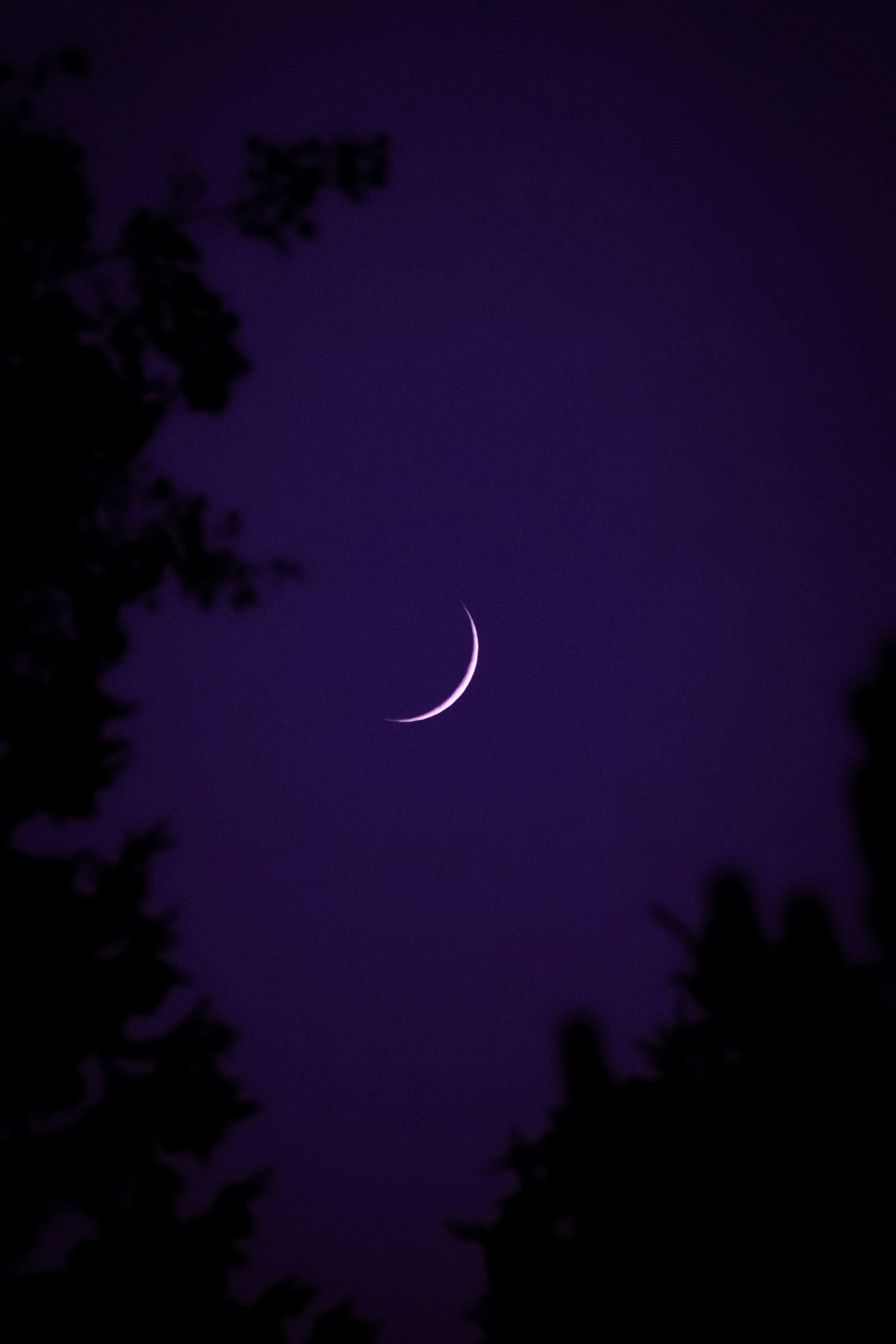 Photo by sinabahar76