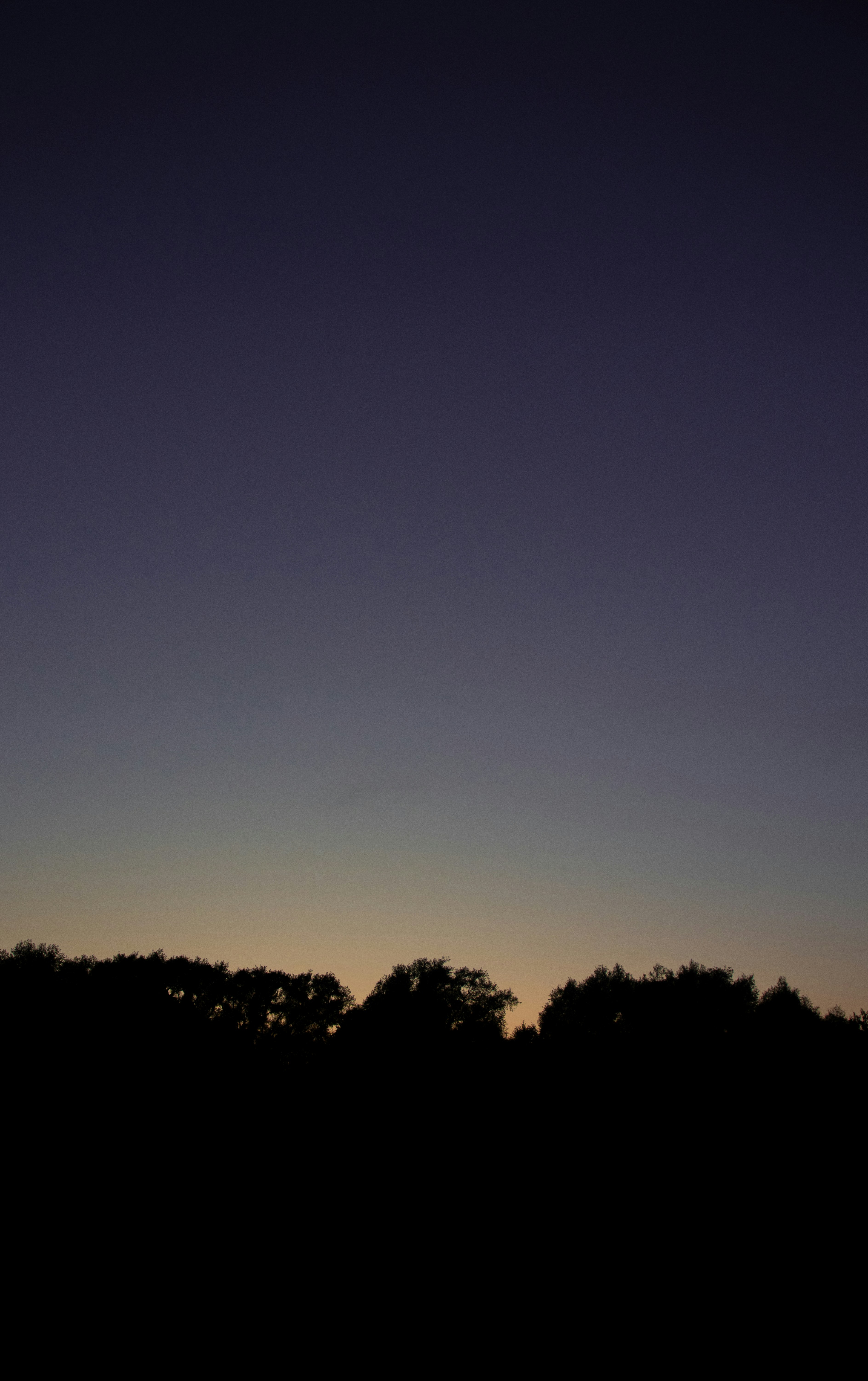 Photo by sinabahar76