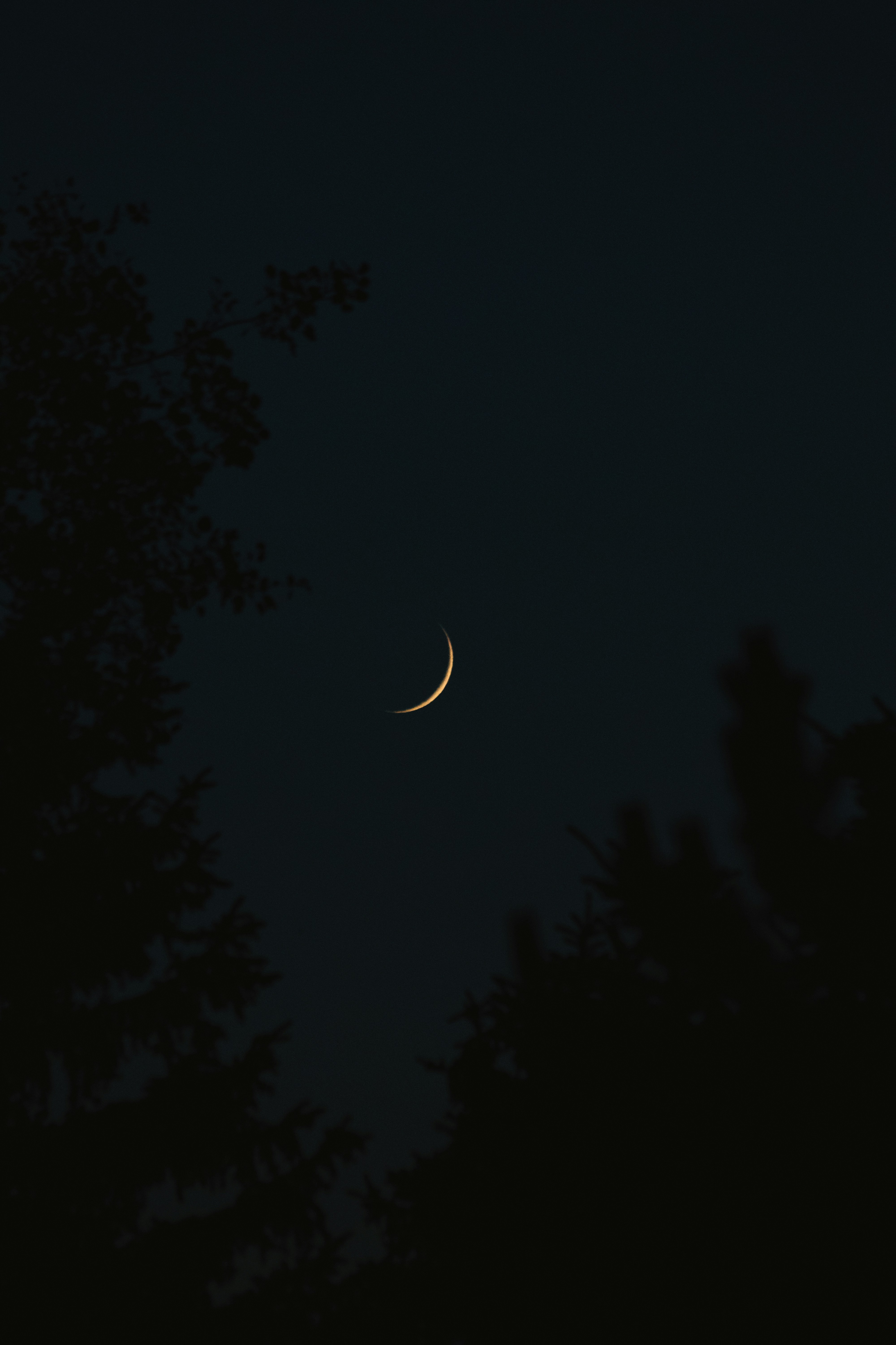 Photo by sinabahar76