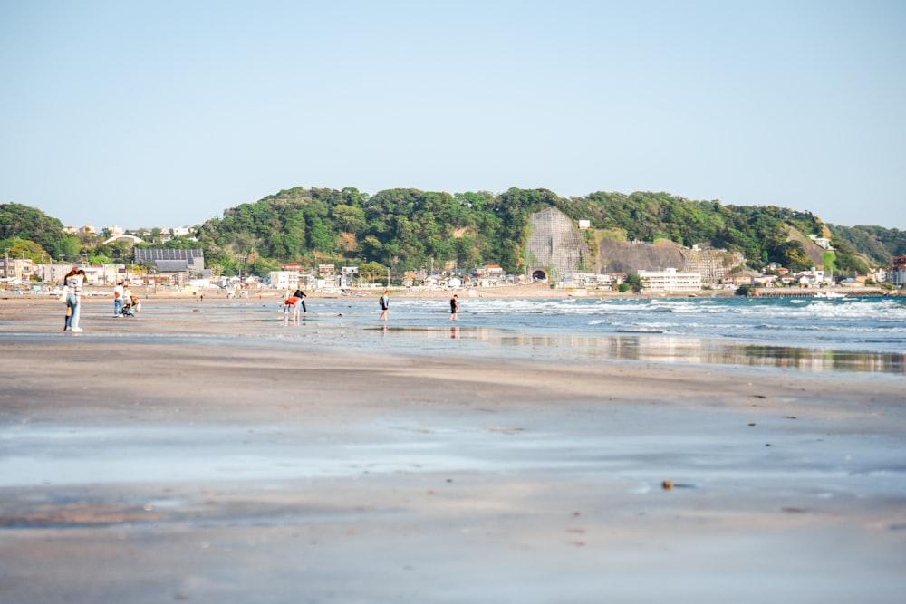 a group of people standing on top of a sandy beach