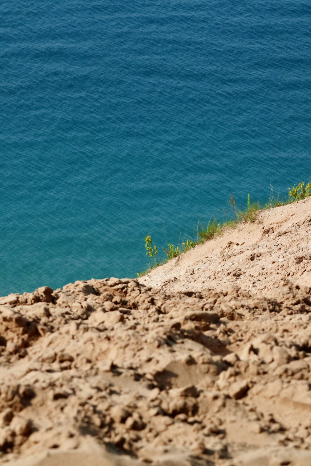 a bird is sitting on the edge of a cliff