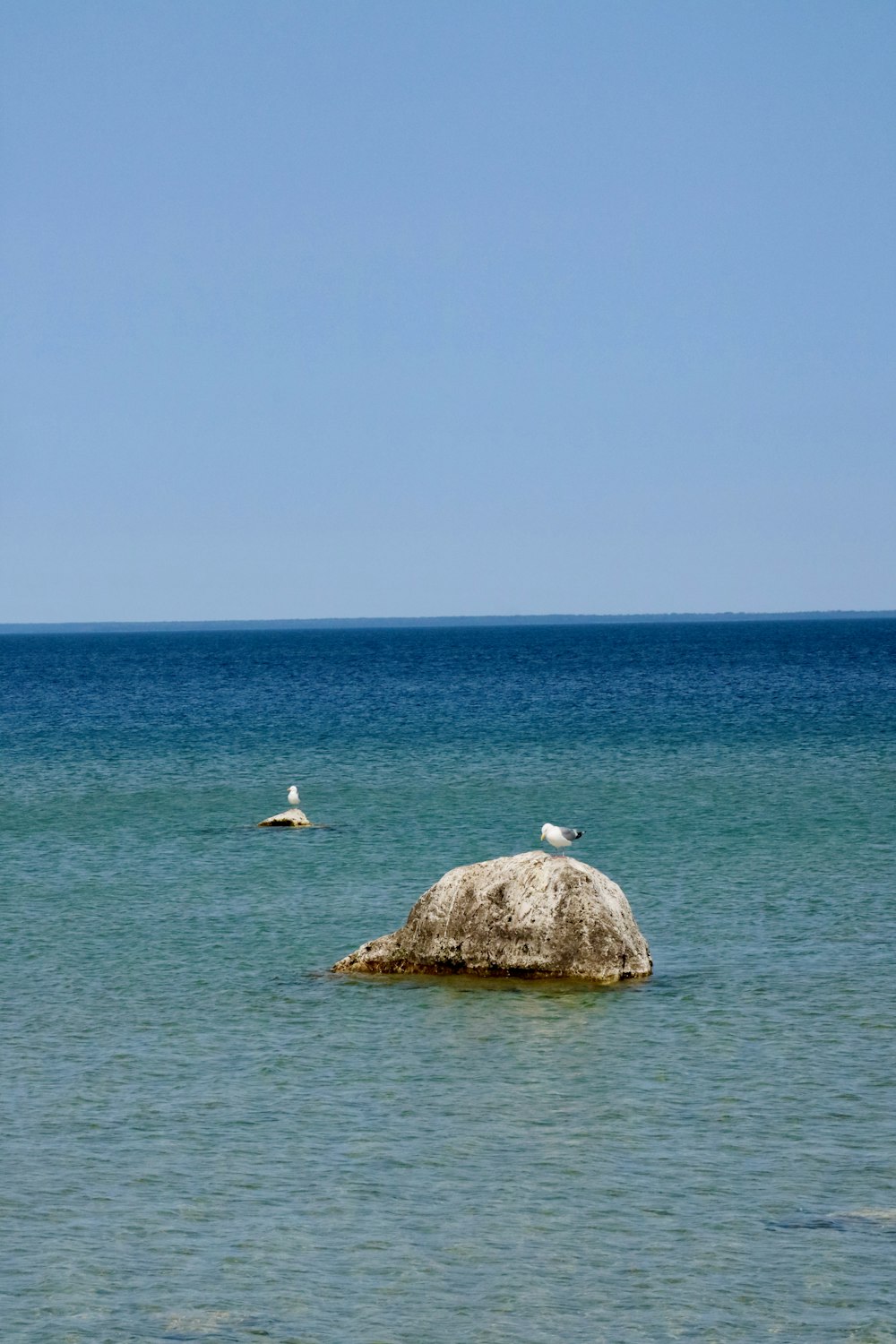 two birds sitting on a rock in the middle of the ocean