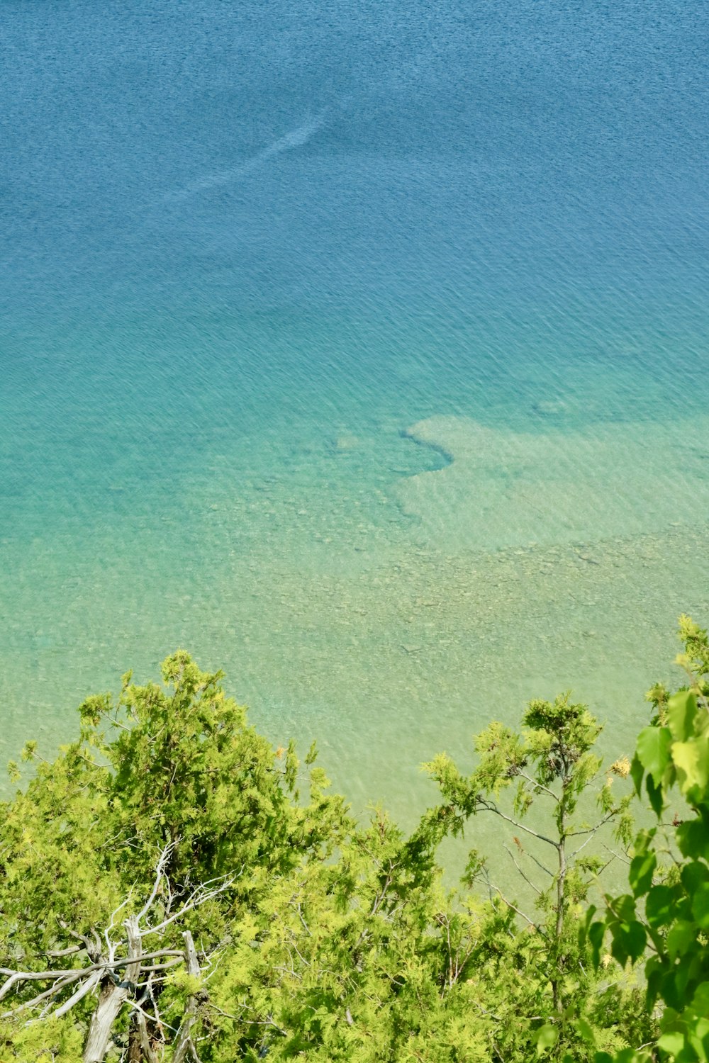 a body of water surrounded by trees and water