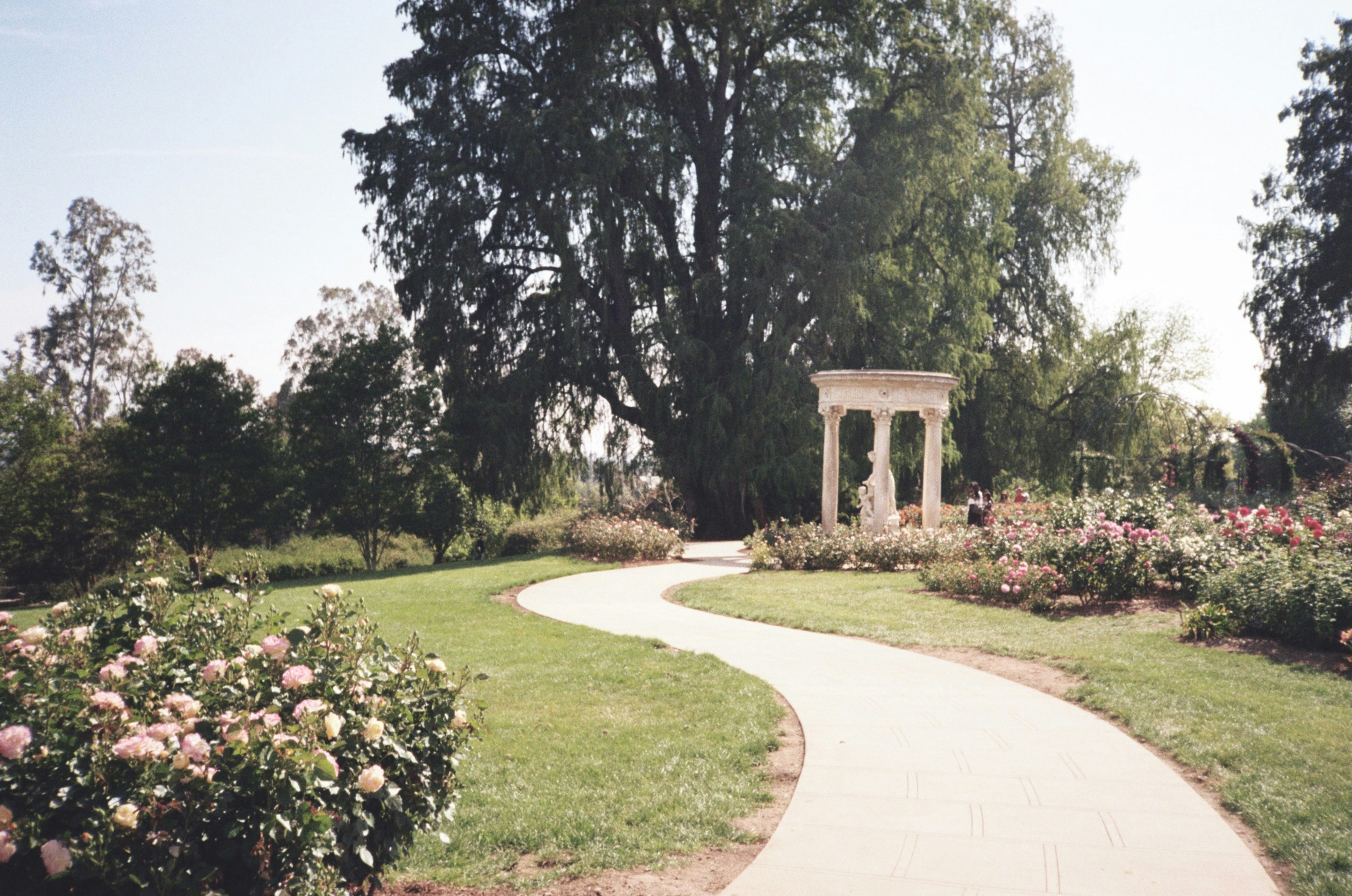 Photo by josephhsing