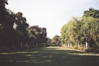 A serene outdoor space with well-maintained gardens and pathways.