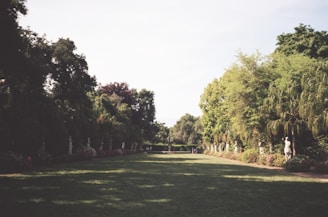 A serene garden scene with a wide grassy pathway flanked by trees and shrubs. Statues are spaced evenly along the paths on either side, creating a symmetrical layout. The scene is peaceful with lush greenery and a bright sky overhead.