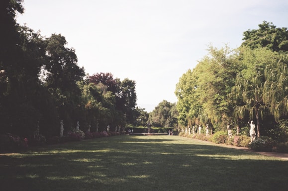 A serene garden scene with a wide grassy pathway flanked by trees and shrubs. Statues are spaced evenly along the paths on either side, creating a symmetrical layout. The scene is peaceful with lush greenery and a bright sky overhead.