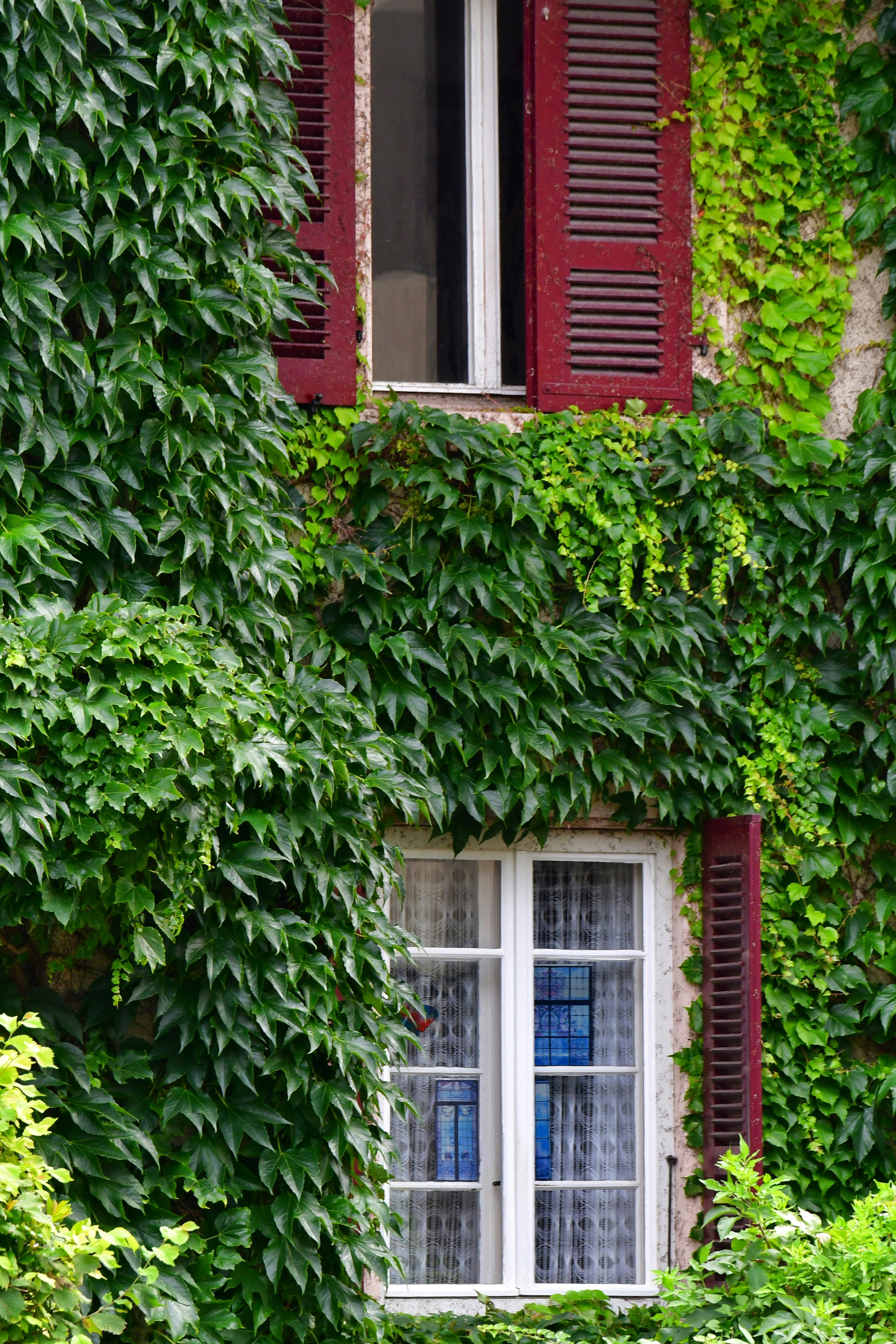 Photo by pedrino5_official