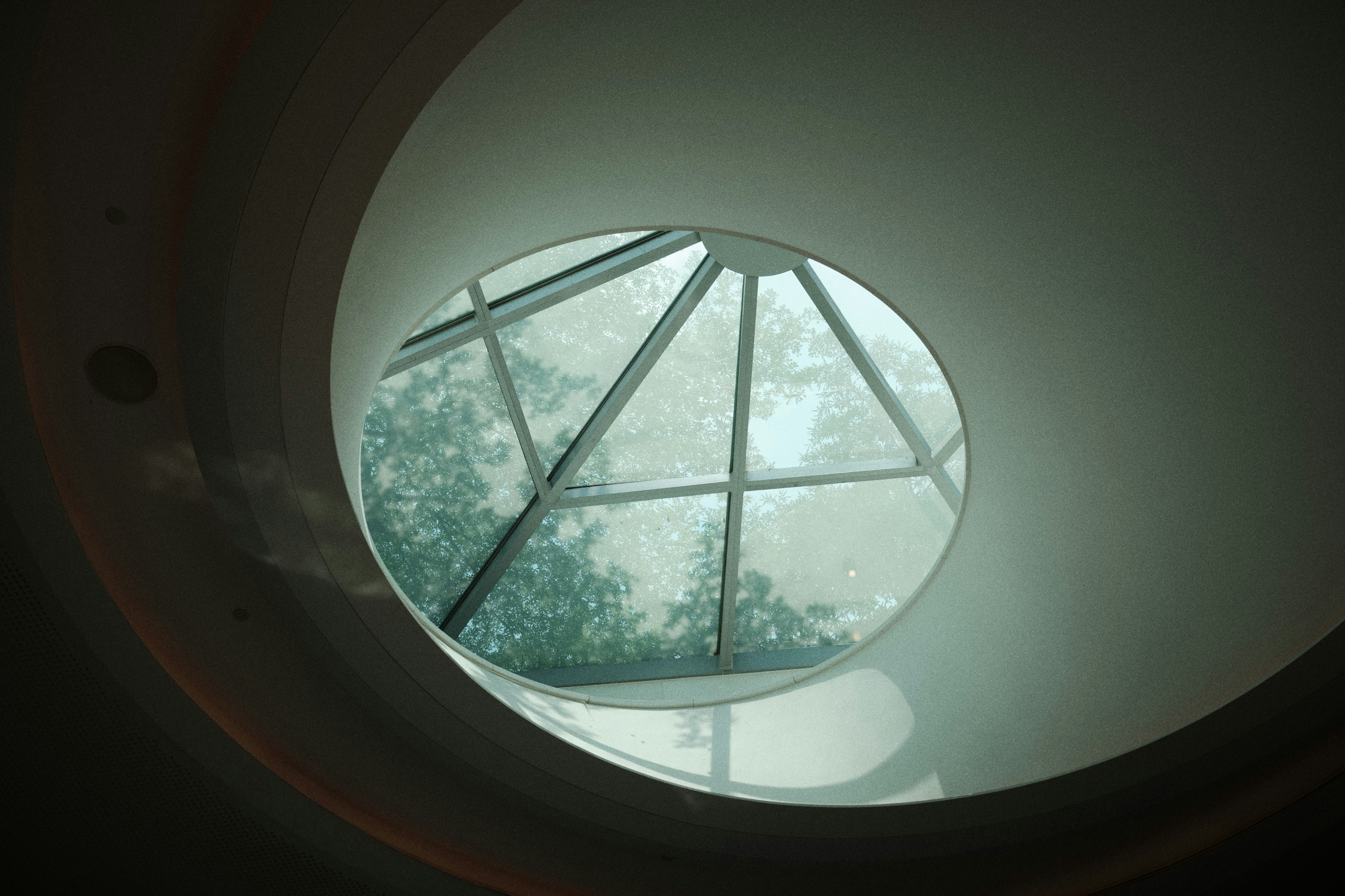 a circular window with a tree in the background