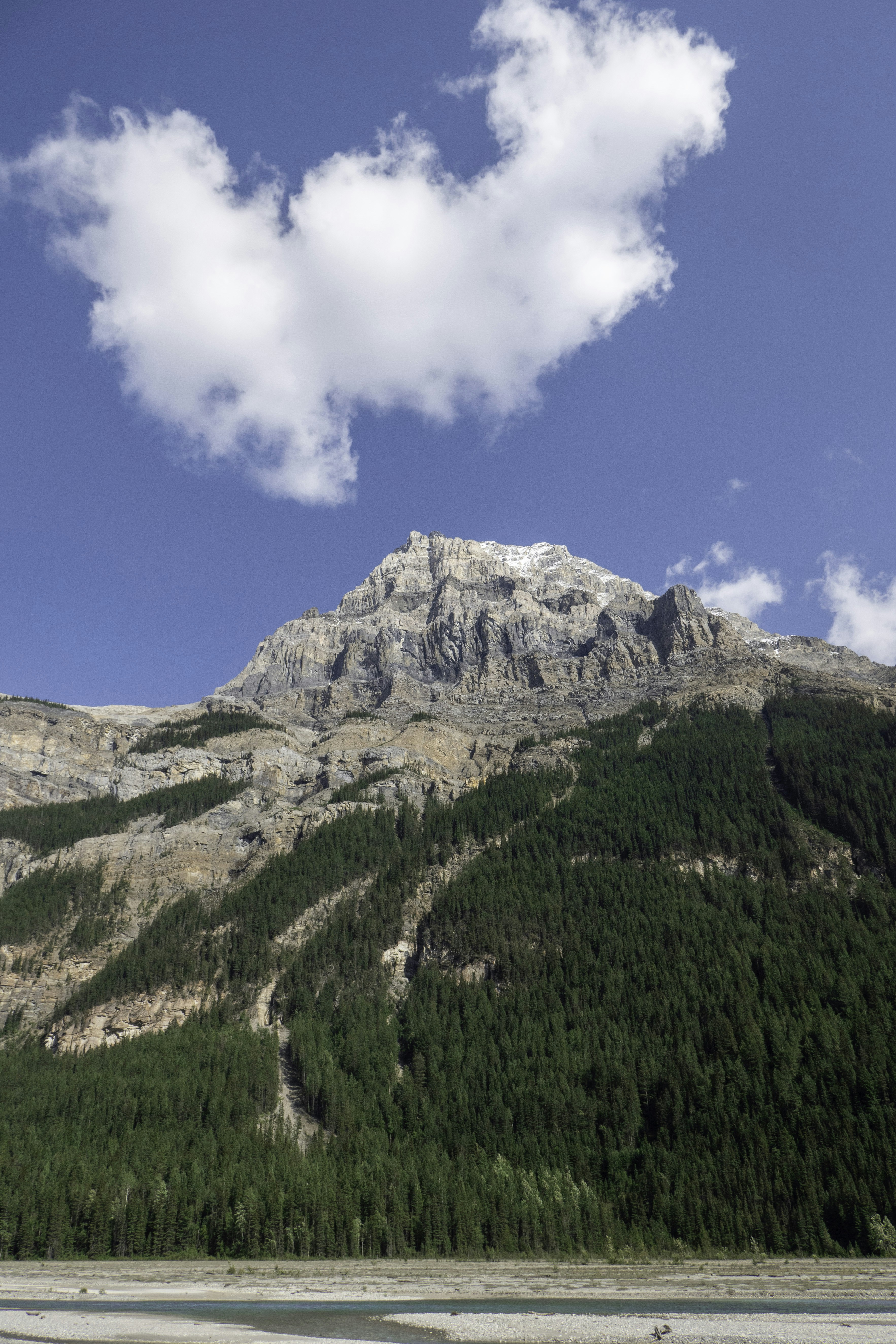 Photo by hollybooker15