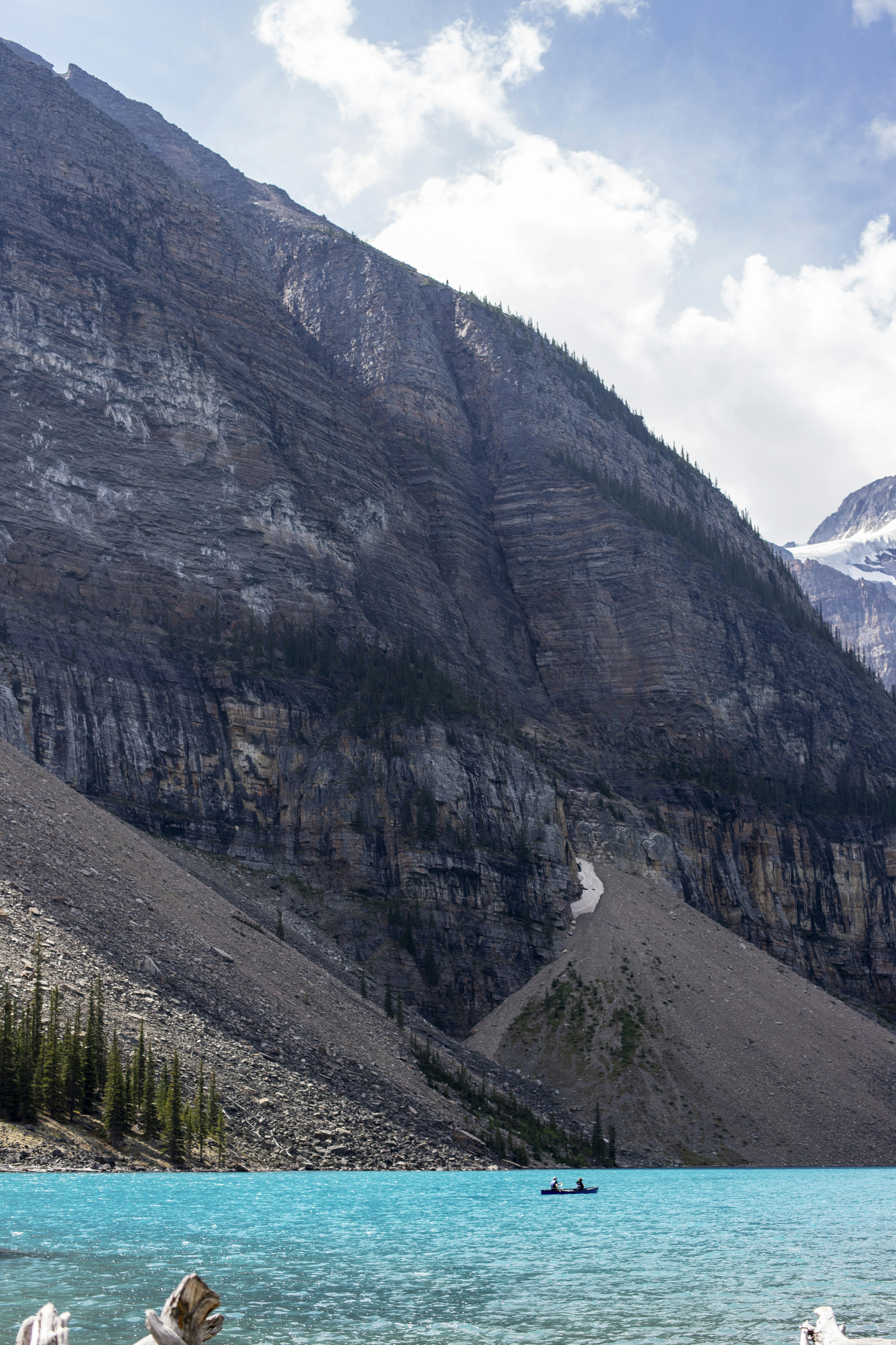 Photo by hollybooker15