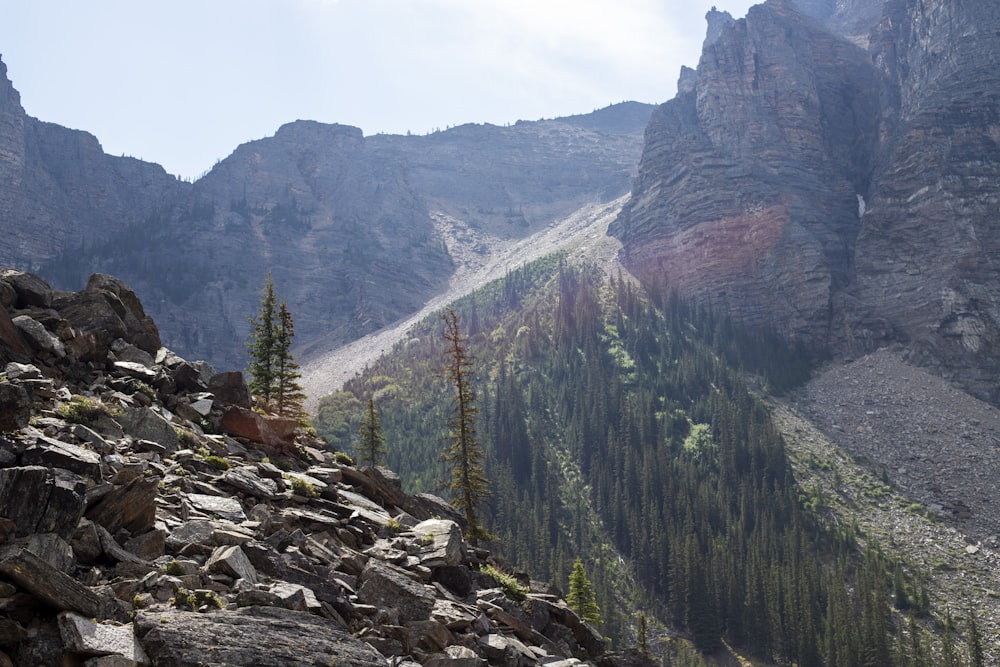 a view of a rocky mountain with trees on the side