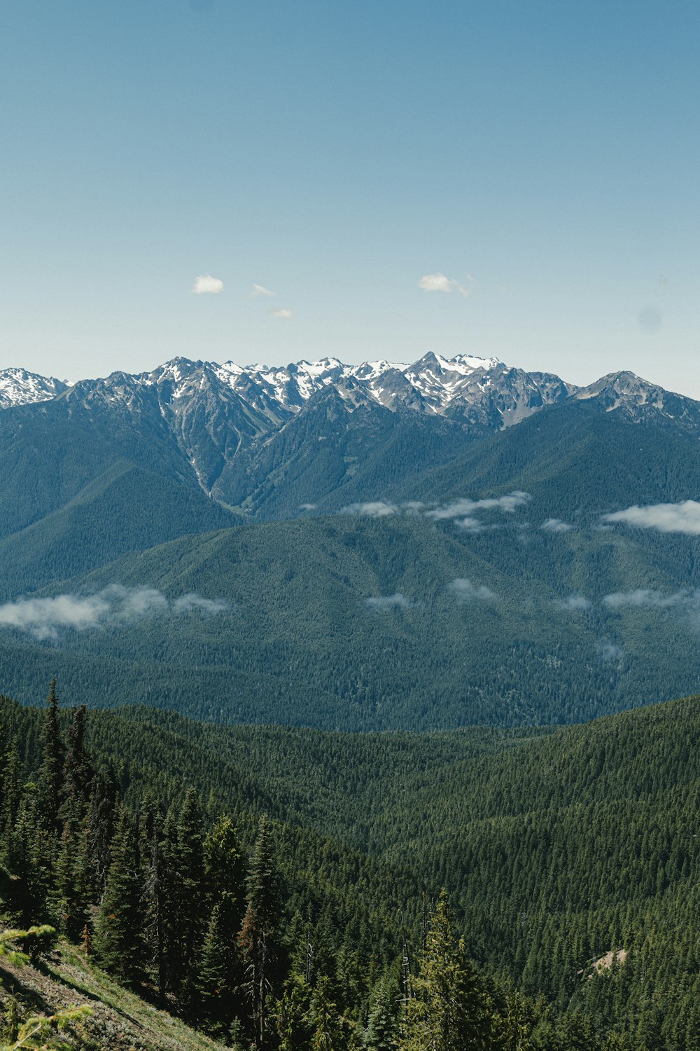 a view of a mountain range with trees and mountains in the background