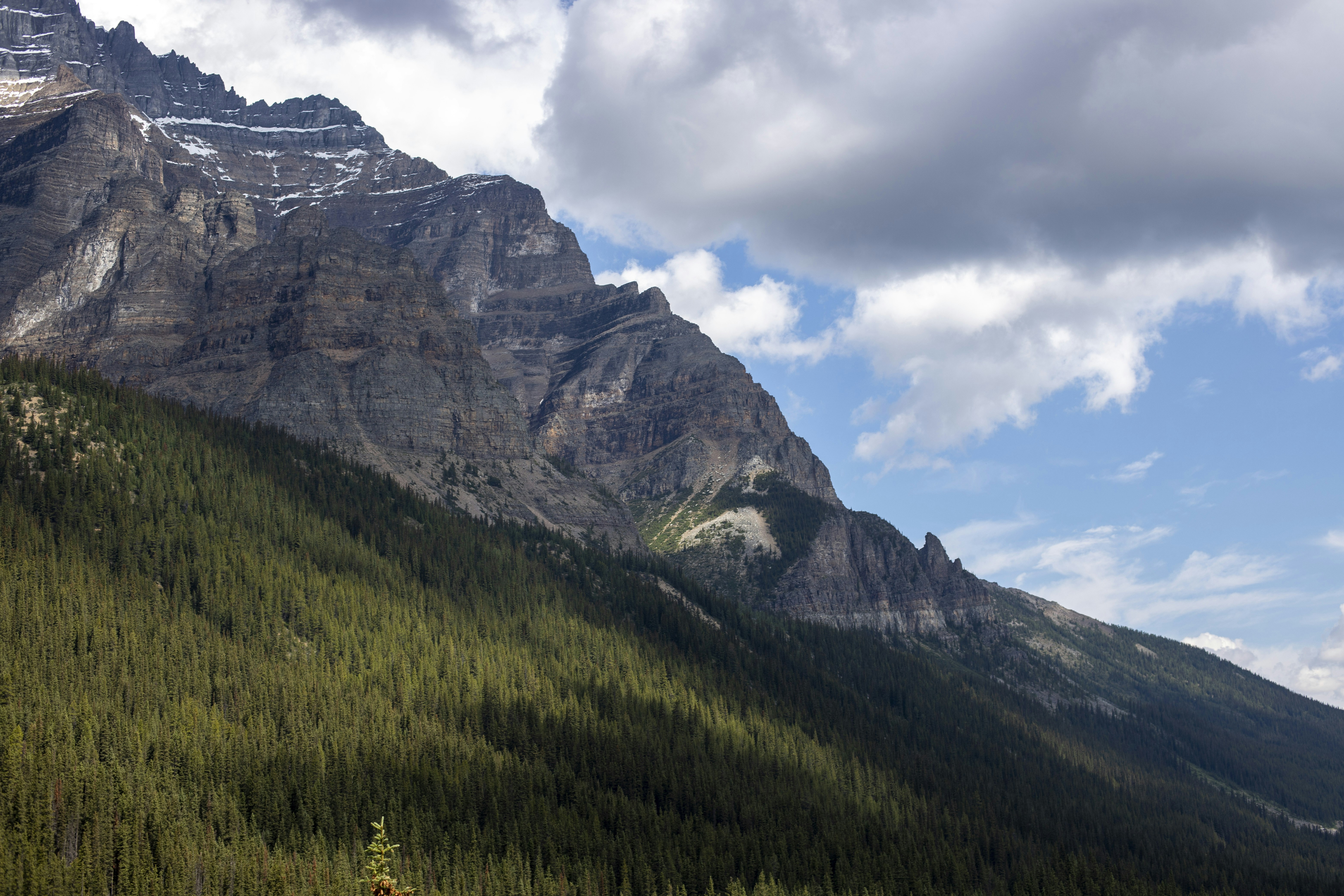 Photo by hollybooker15