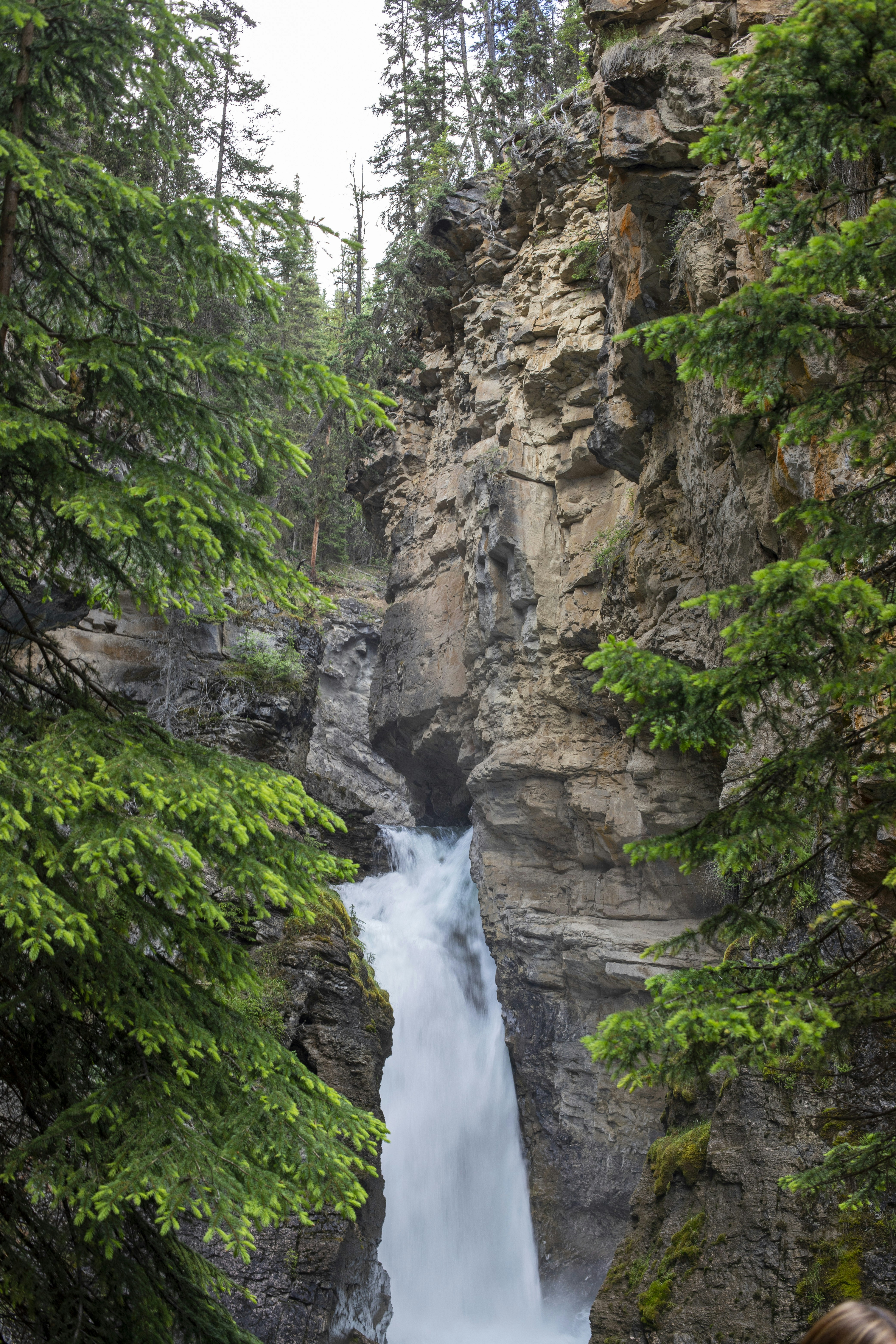 Photo by hollybooker15