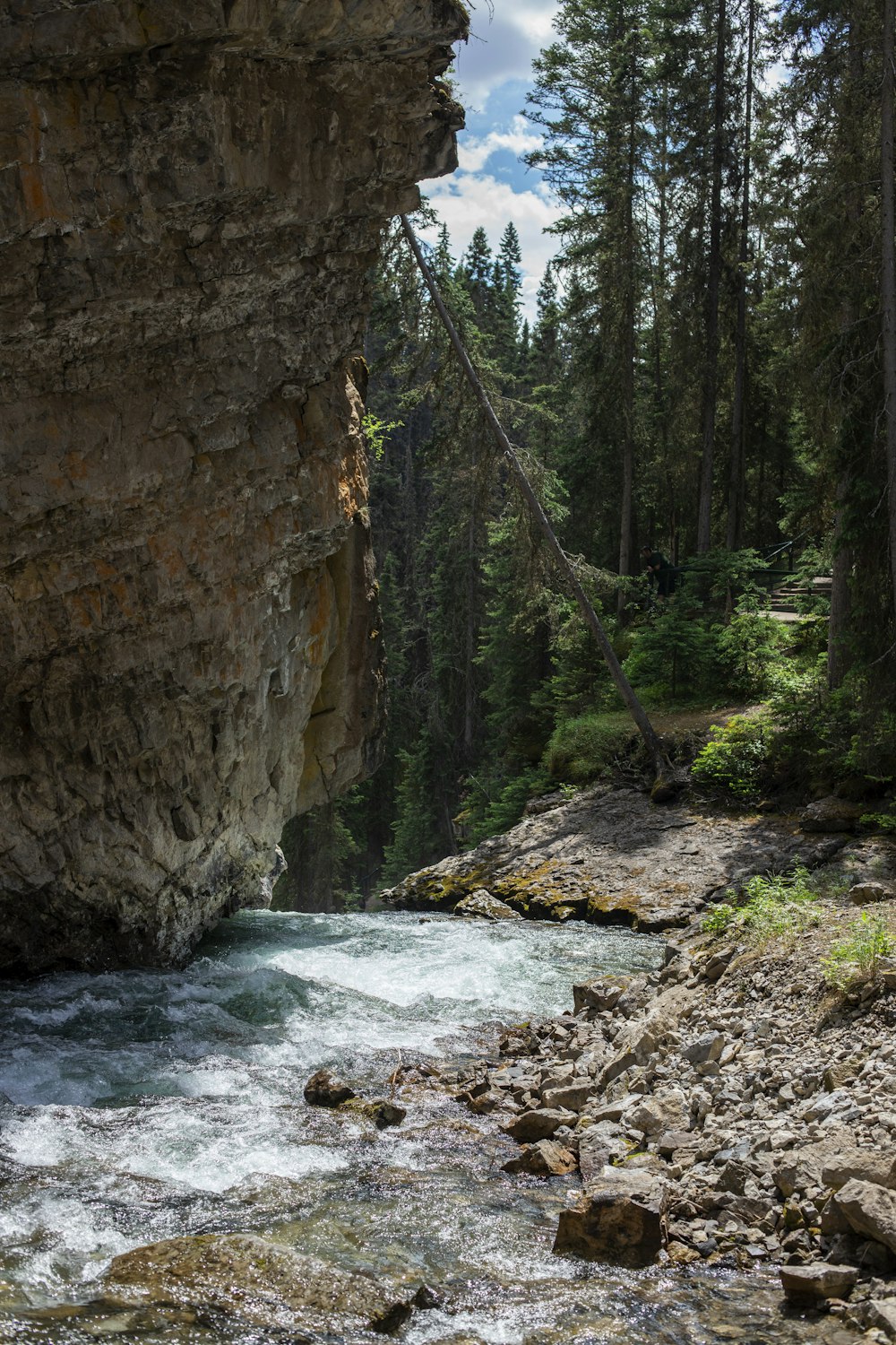 a river running through a forest next to a cliff