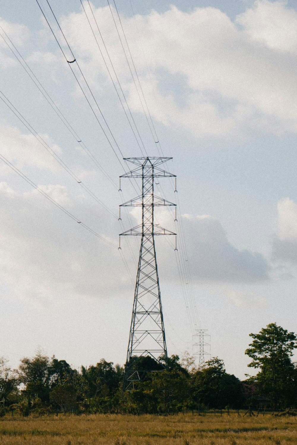 a field with a telephone pole in the middle of it