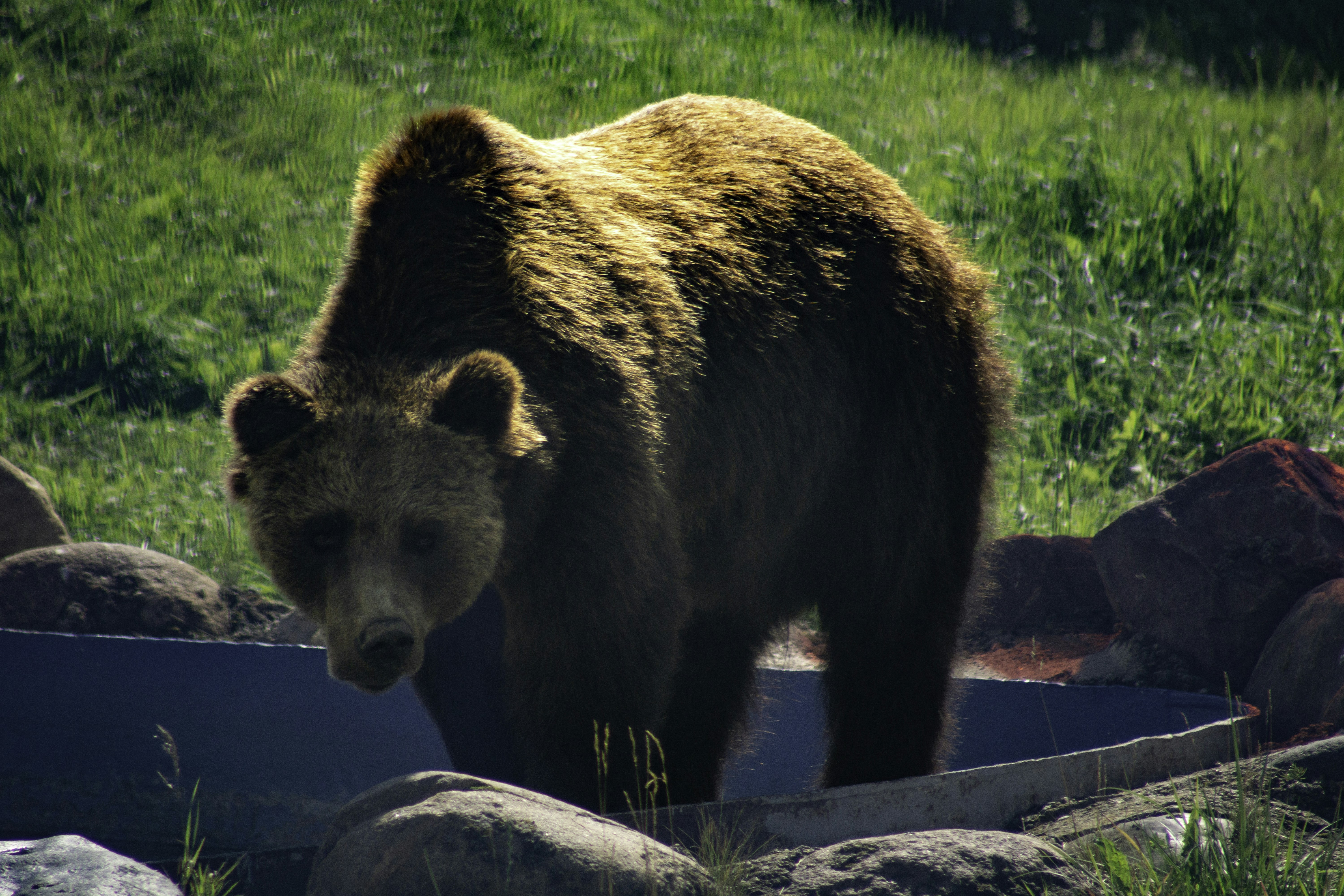 Photo by alex_devera