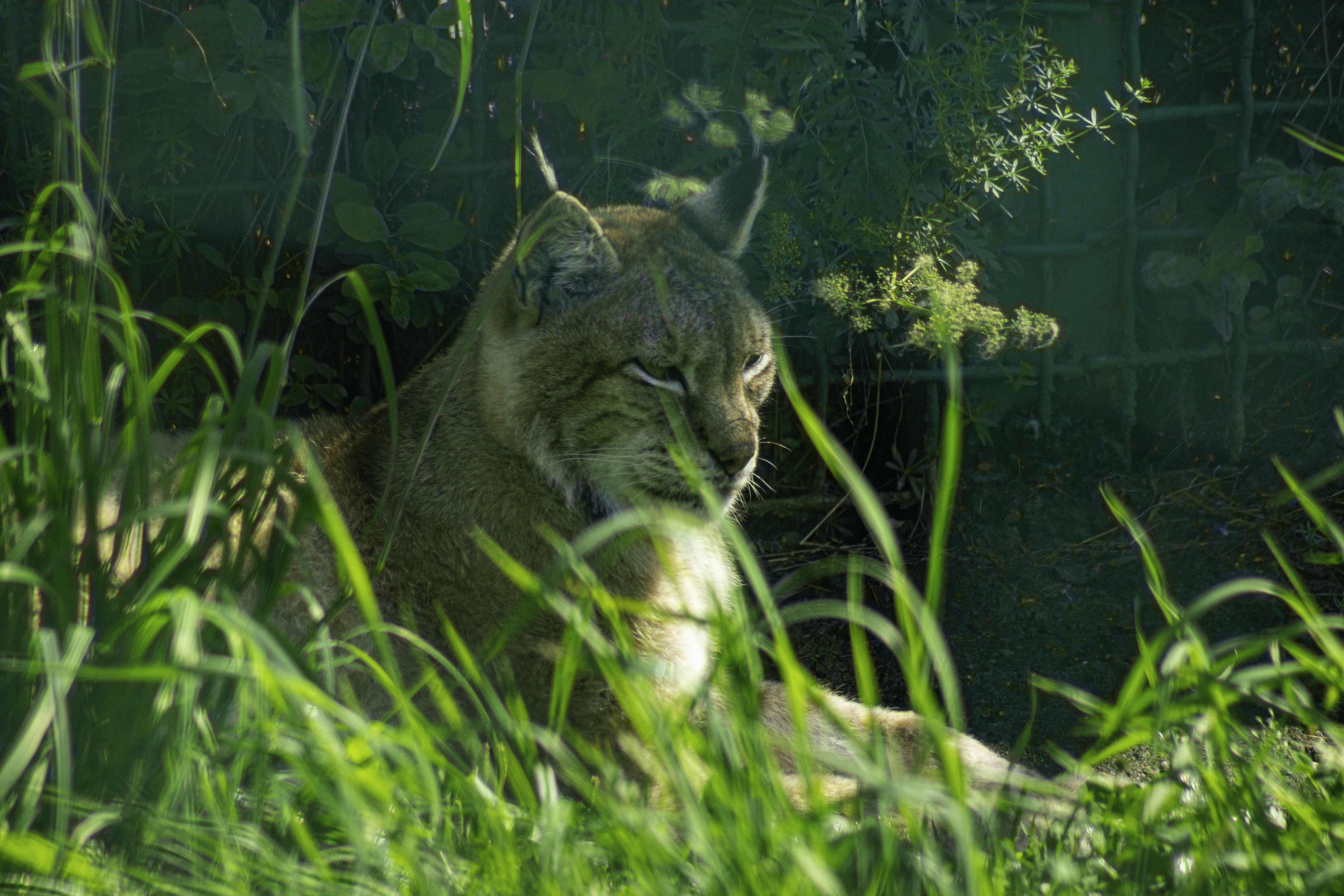 Photo by alex_devera