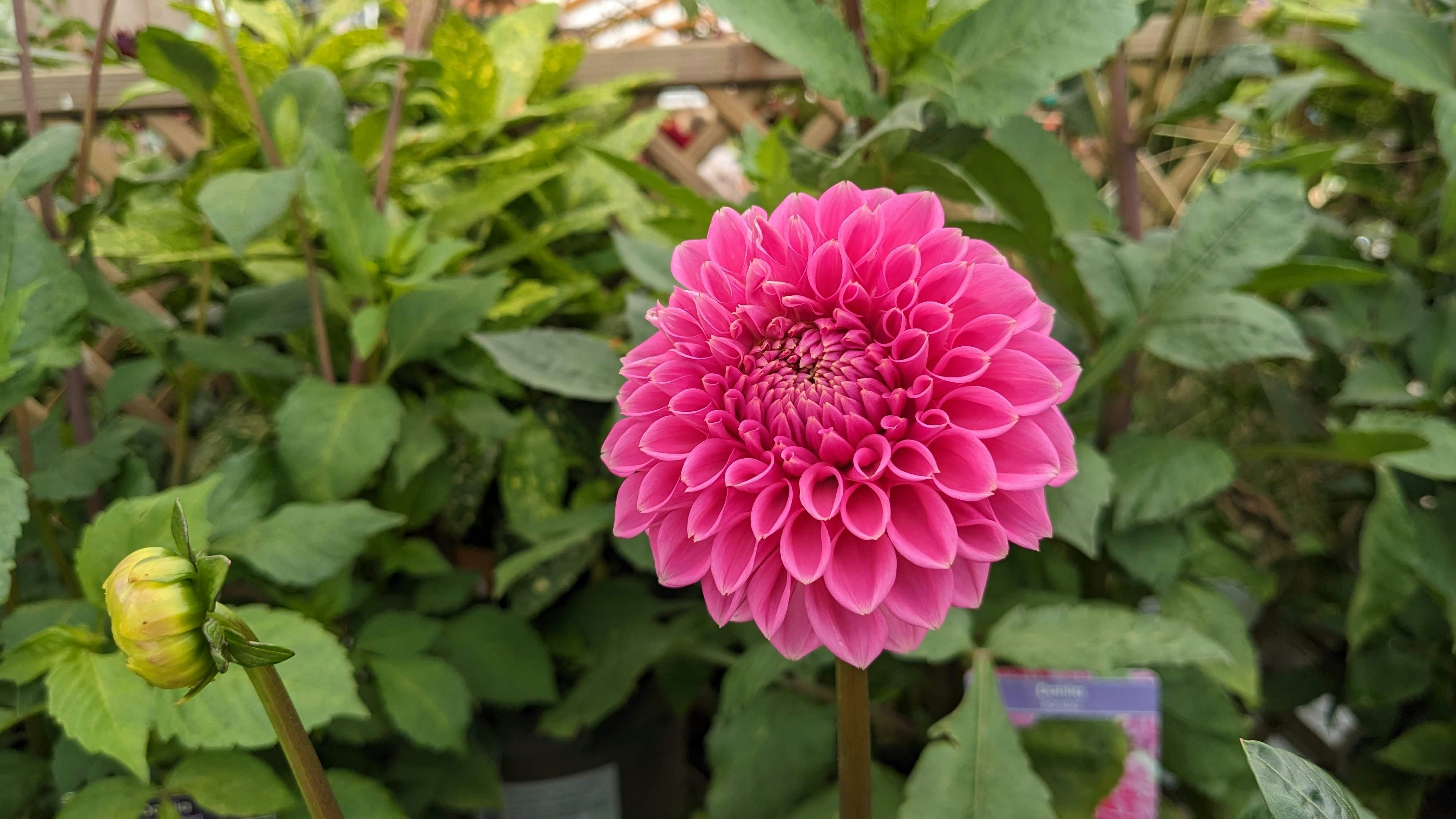 The wind beneath the wings