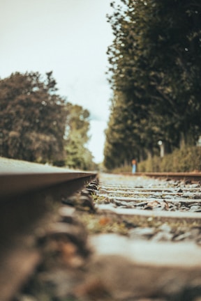 A railway track stretches into the distance, bordered by trees on both sides, creating a sense of depth. The blurred foreground and background focus attention on the middle ground, prompting a reflective mood.