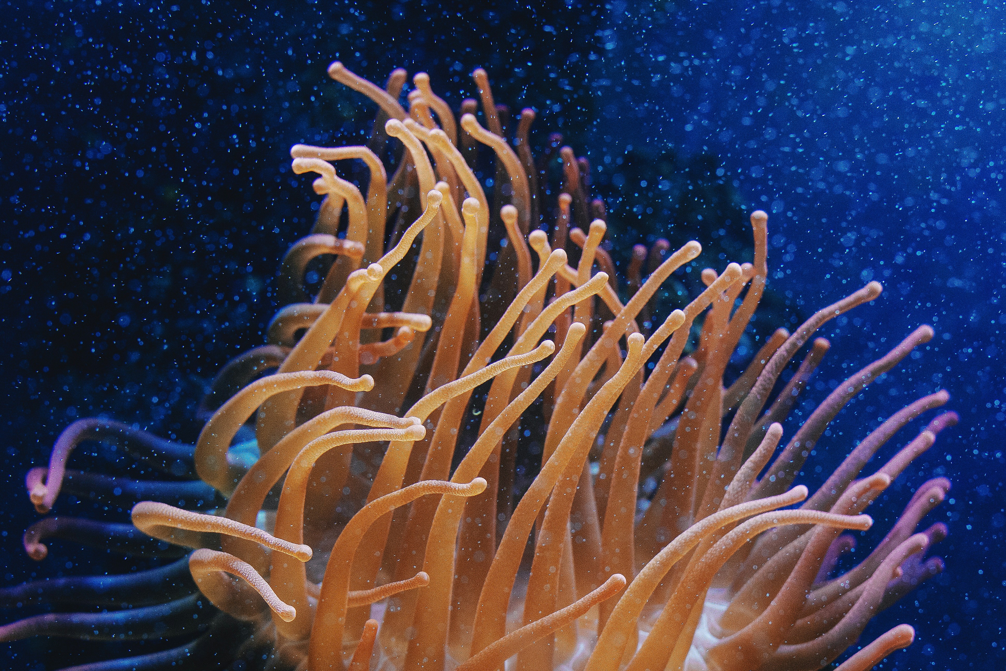 Photo by nizametdinova