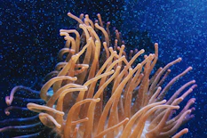 ROV arms delicately working on subsea equipment, surrounded by a swirl of tiny marine particles illuminated by the vehicle’s lighting.