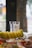 Two glasses of Yeni Raki with a selection of colorful appetizers and sliced fruits, likely melons, arranged on a table. The setting suggests a casual dining experience and has a blurred outdoor background.