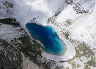 Peyto Lake’s distinctive wolf-head shape seen from a high vantage point with glacier-fed waters.