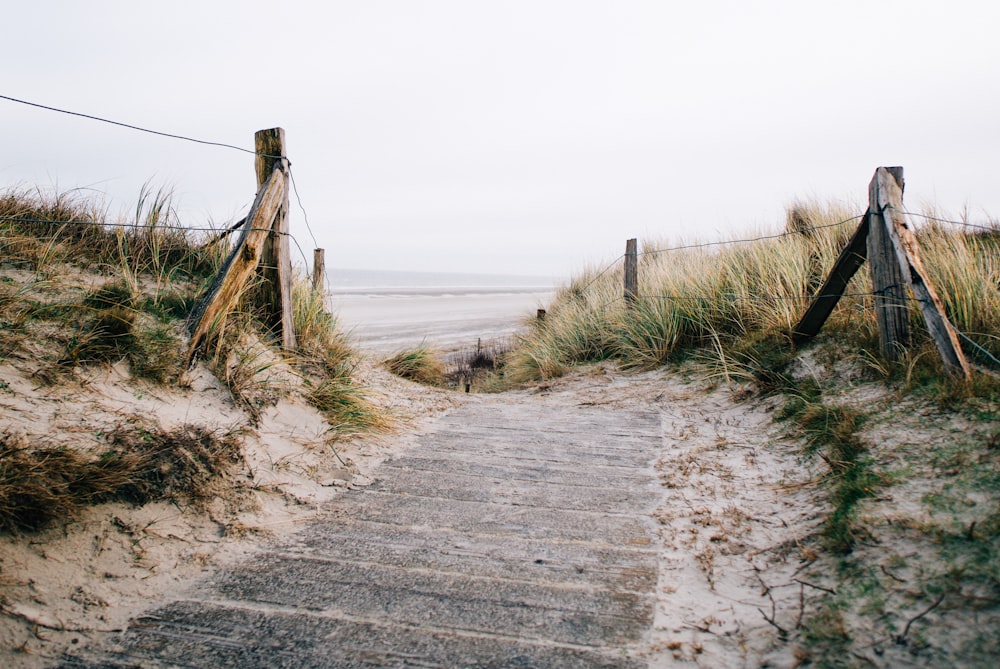 a wooden staircase leading to the beach