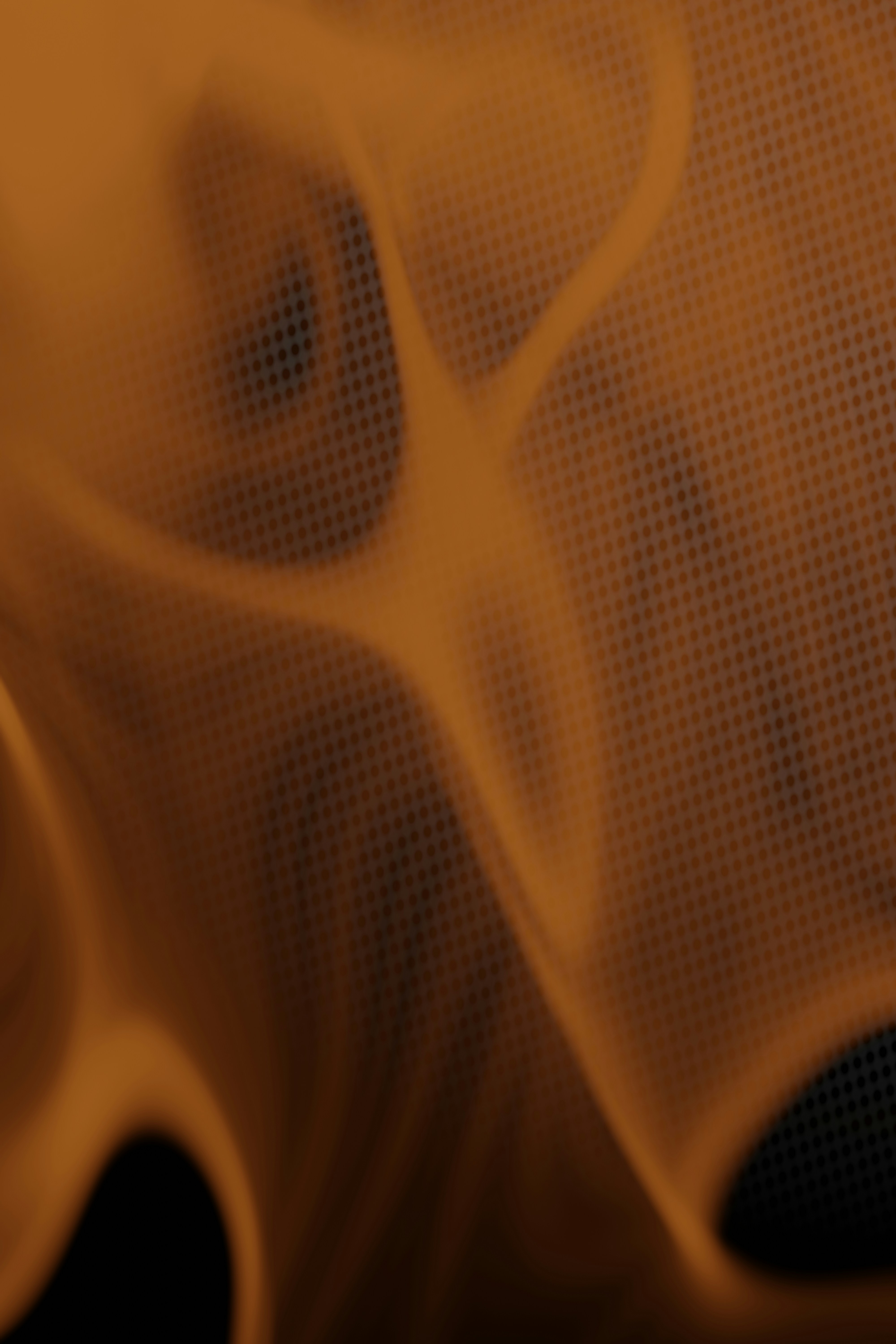 Photo by blenderdesigner