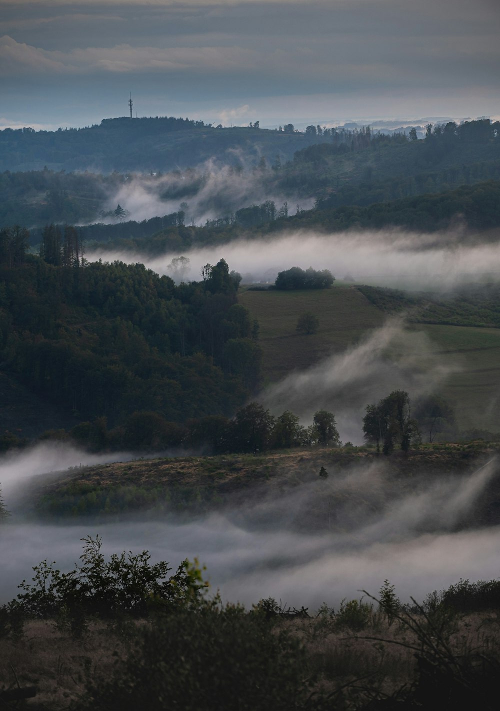 a foggy valley with trees and hills in the background