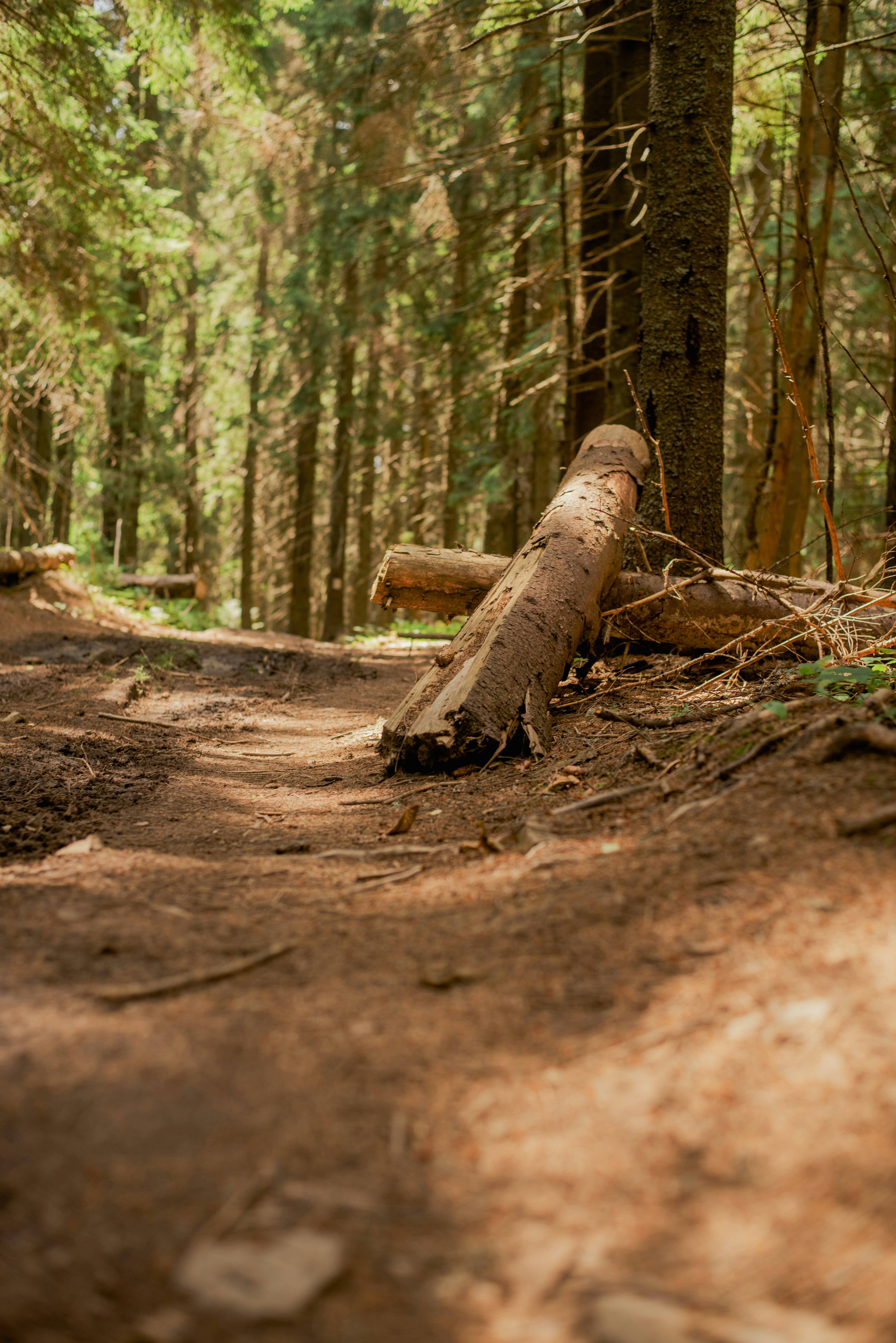 Photo by eugenivy_now