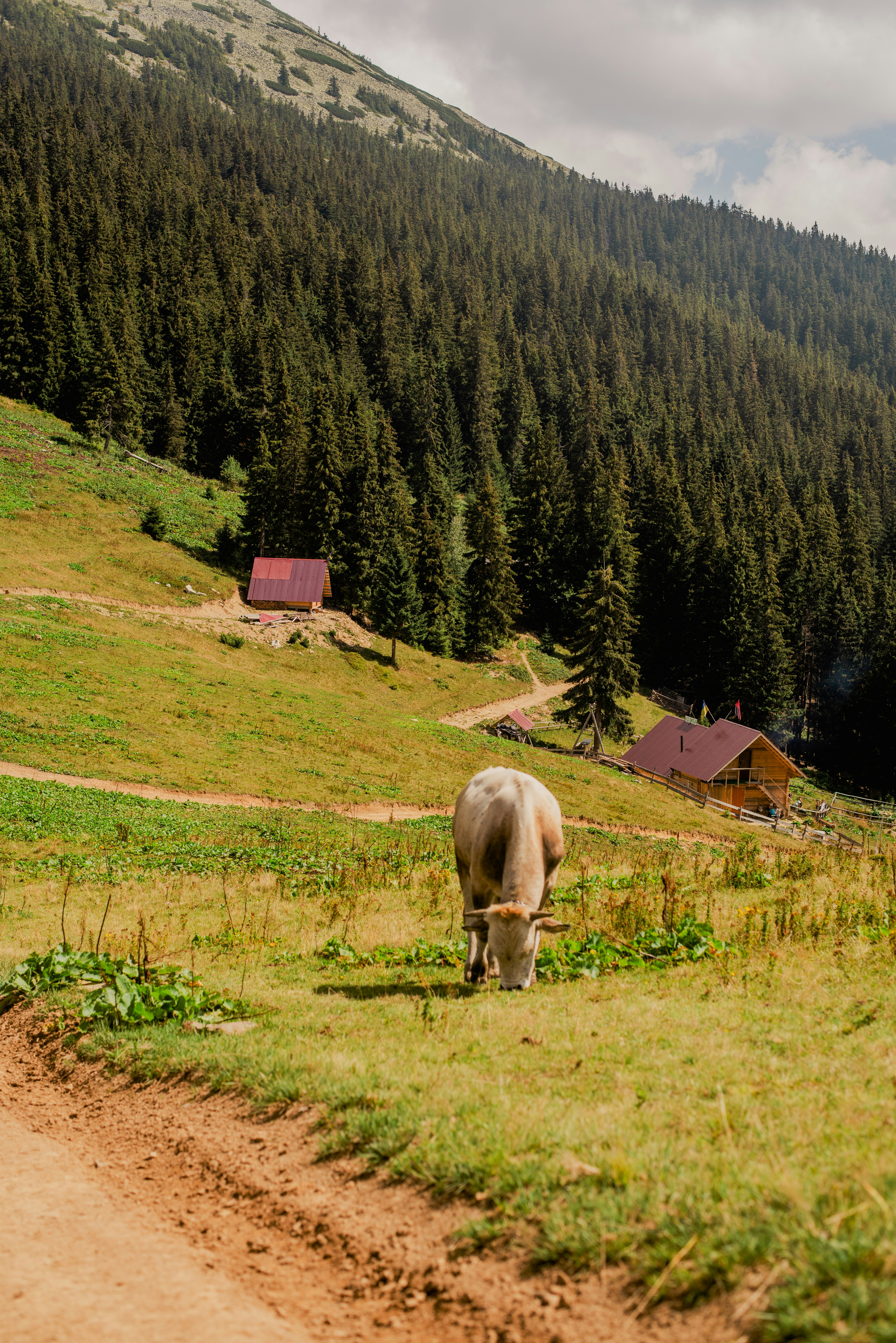 Photo by eugenivy_now