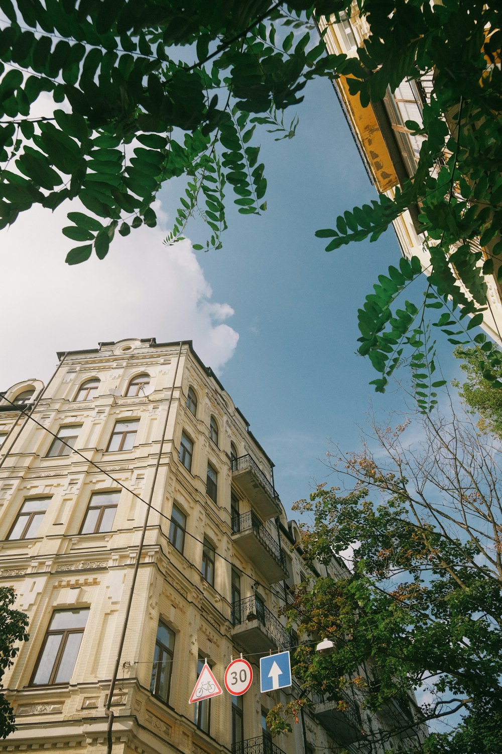 a tall building sitting next to a lush green tree