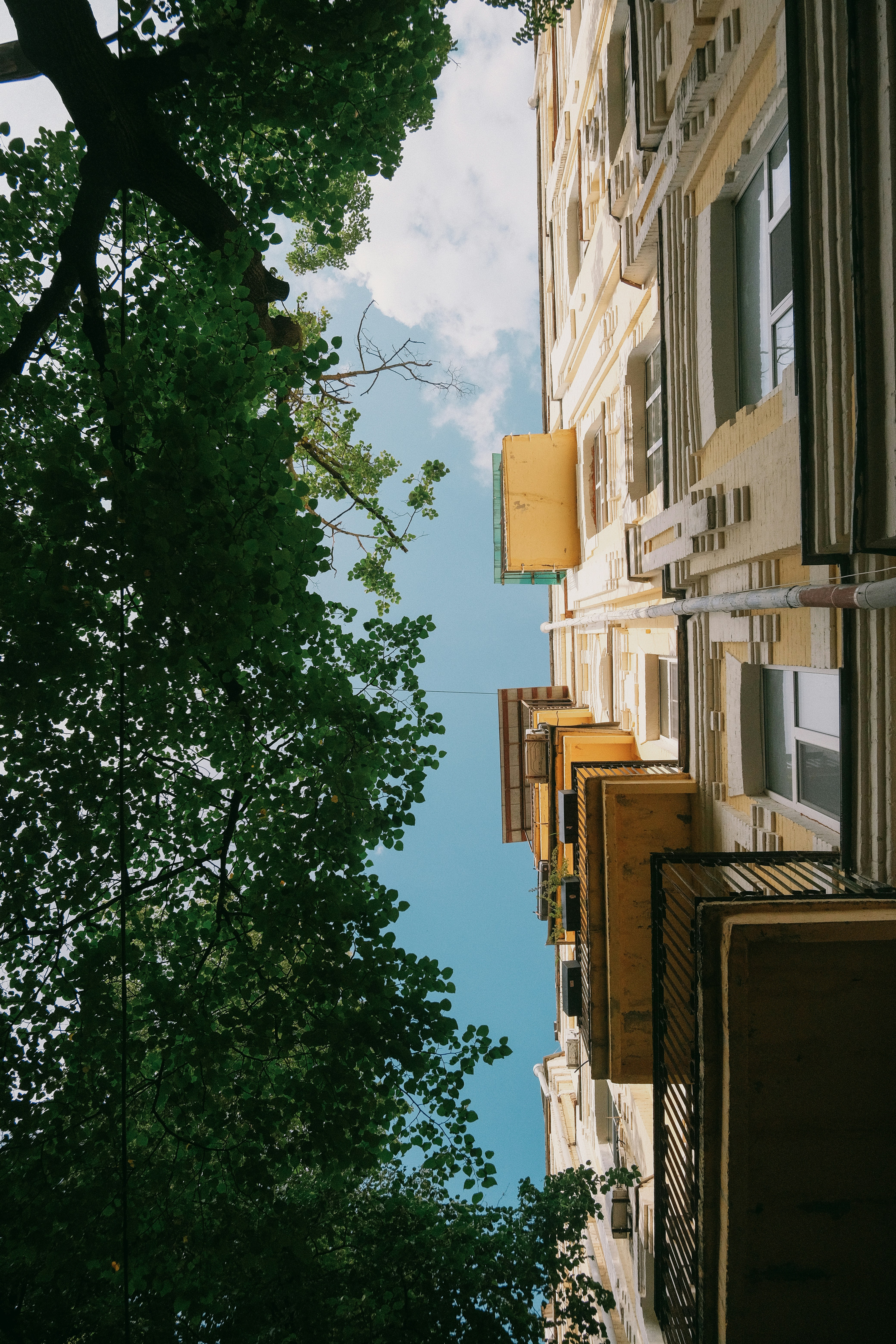 Photo by tobolenkoph