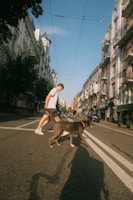 A smiling owner walking her dog with a stylish leash in the city.