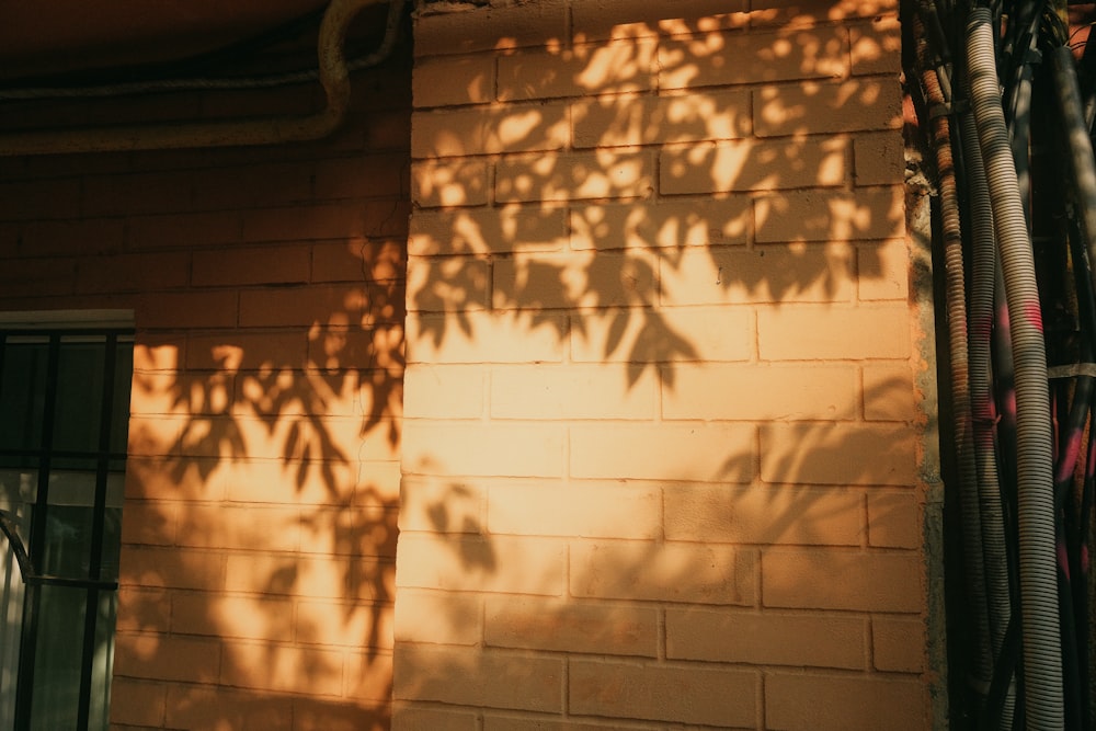 a shadow of a tree on a brick wall
