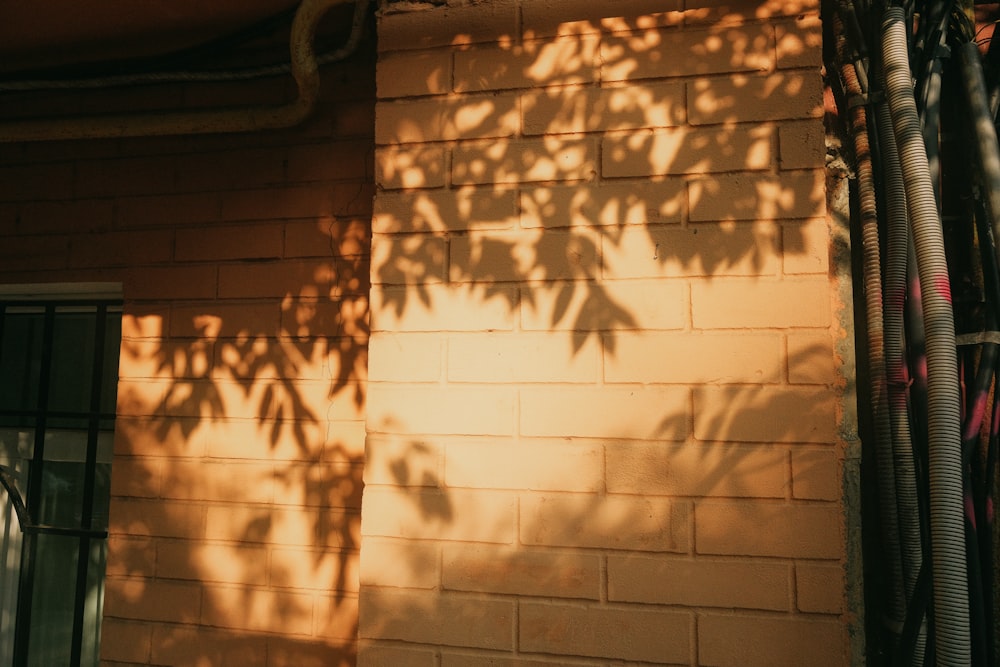 L’ombre d’un arbre sur un mur de briques