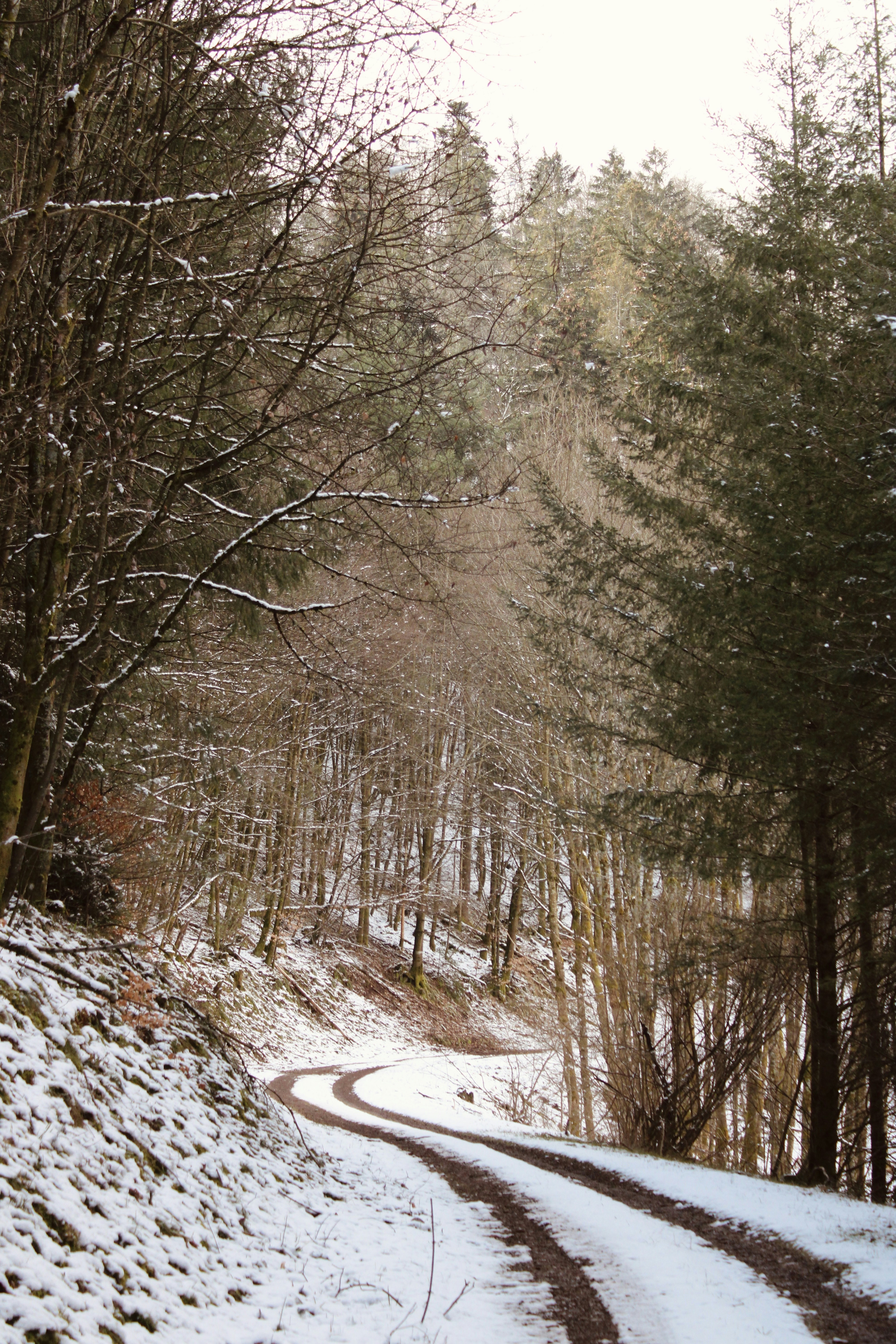 Photo by jeremybilley