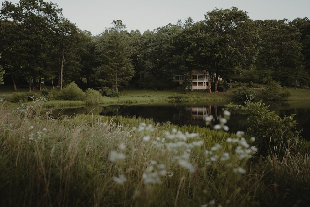 a house sitting on top of a lush green field