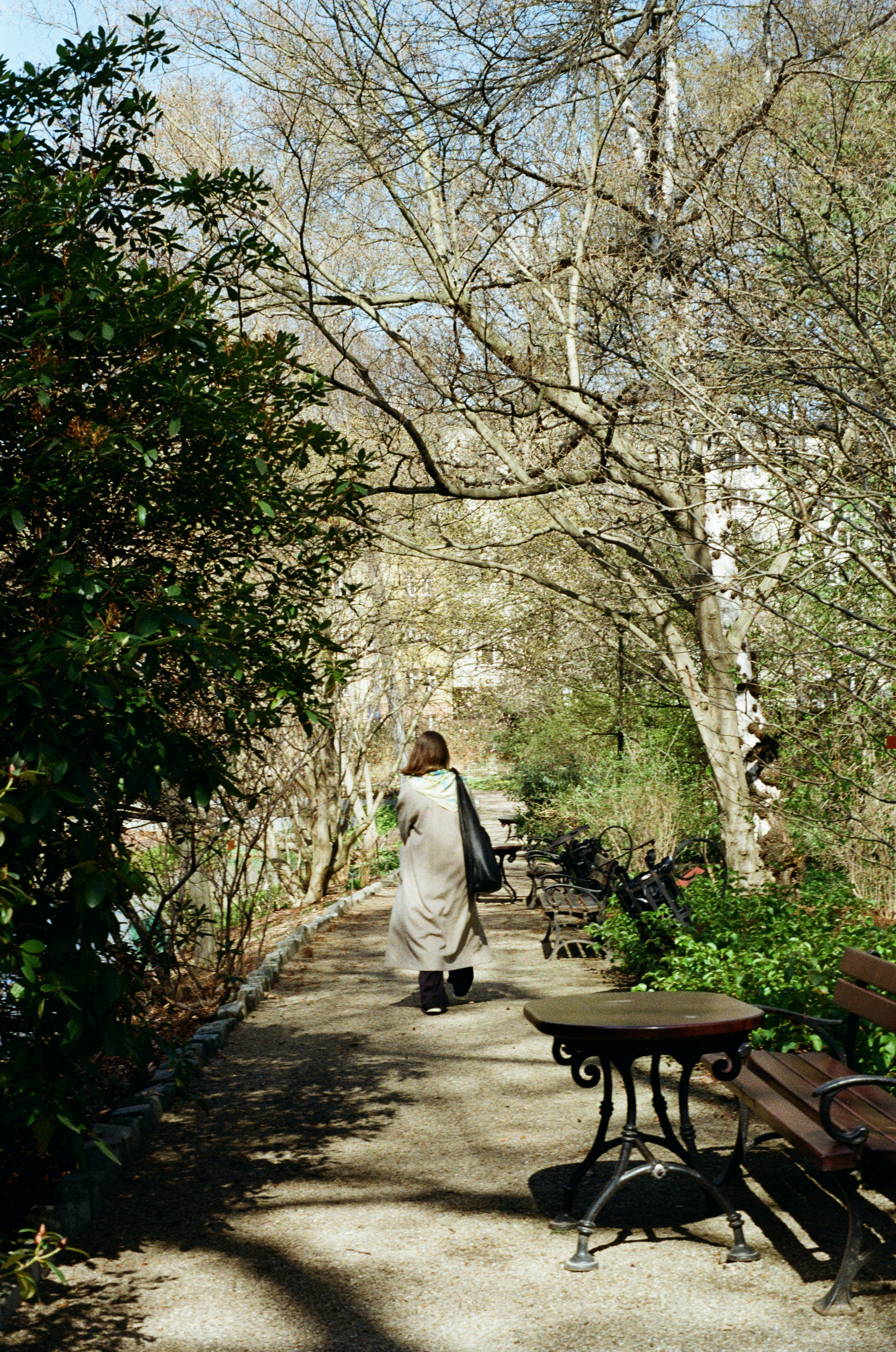 Charleston Tea Garden