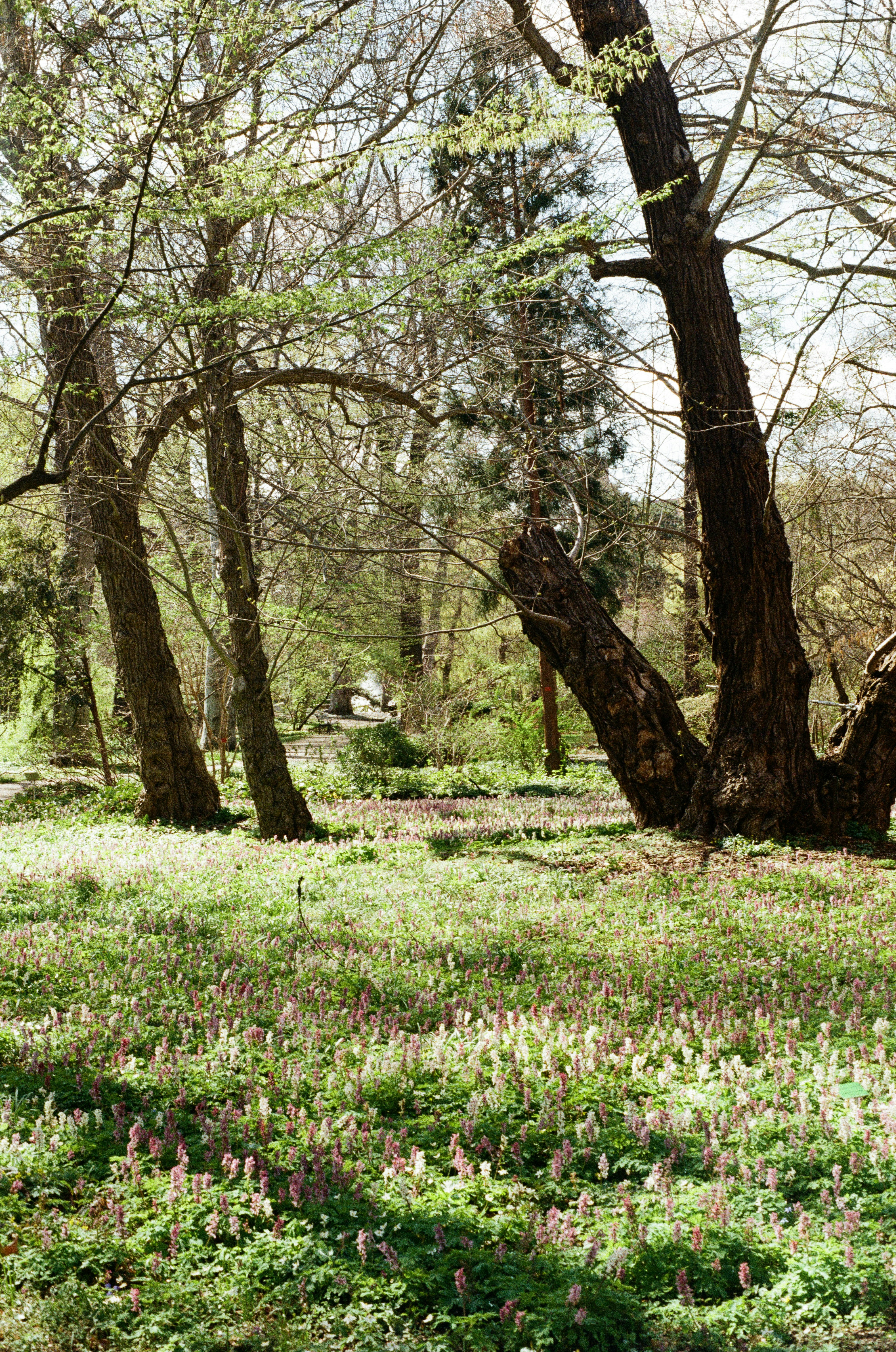 Photo by nadzeya1104