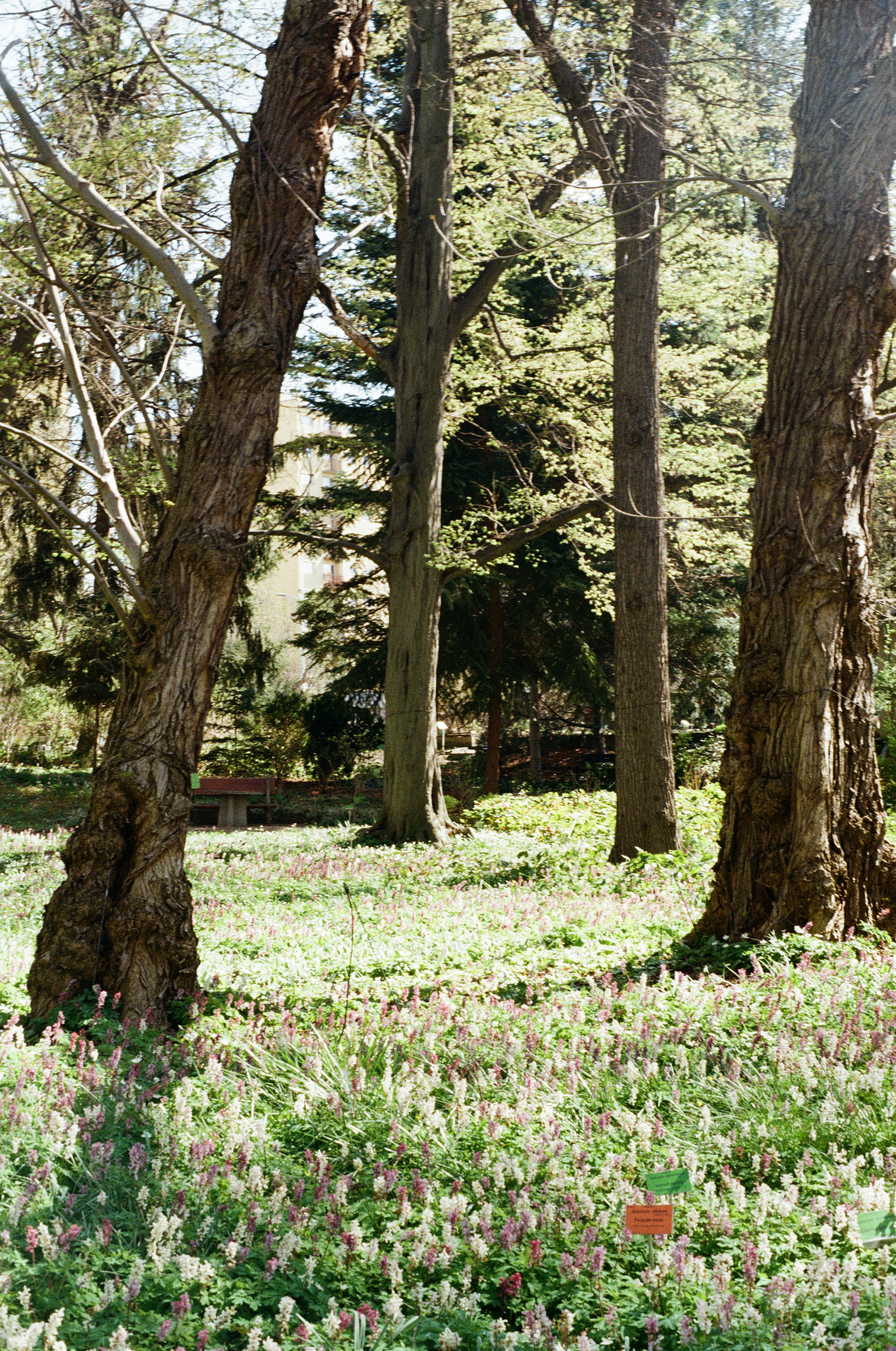 Photo by nadzeya1104