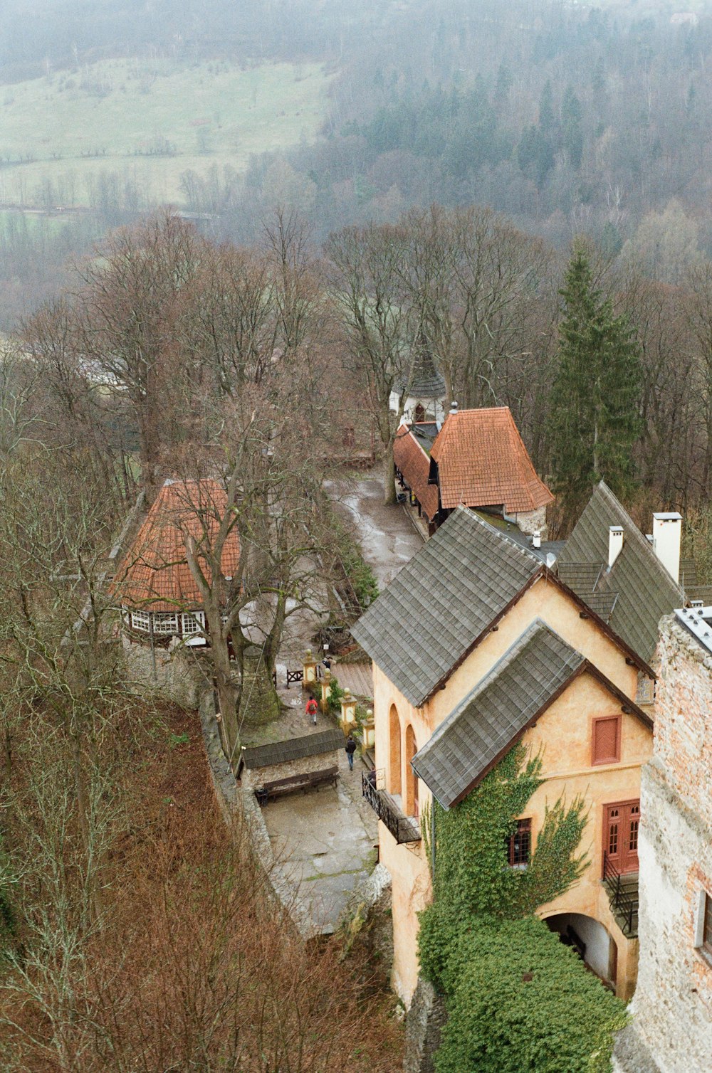 an aerial view of a house surrounded by trees