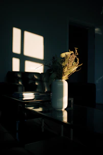 A sleek glass coffee table bathed in natural light, highlighting its clean lines and modern design.