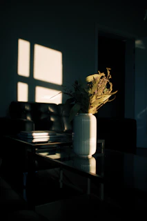 A sleek glass coffee table bathed in soft natural light, styled with a small stack of books and a ceramic mug.